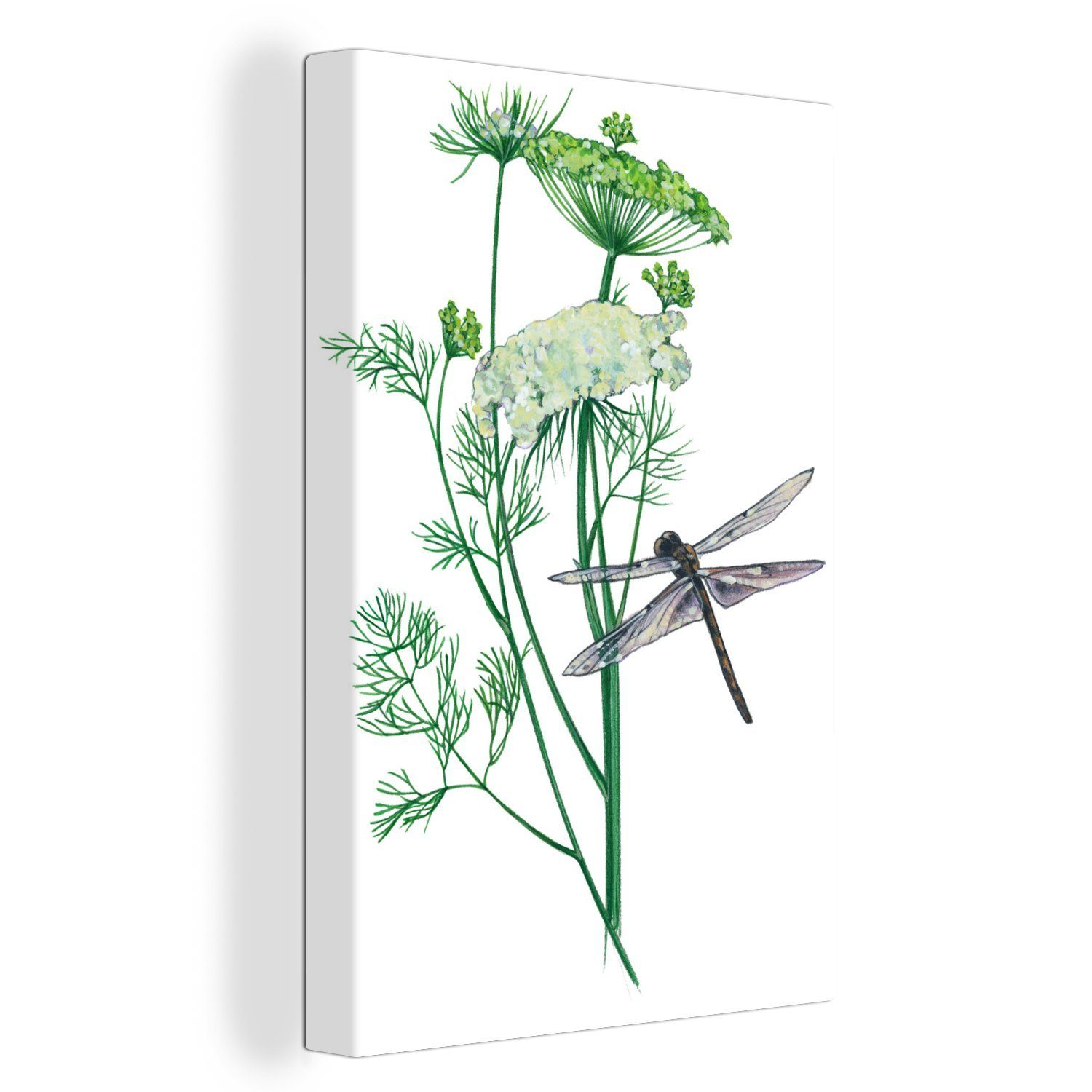 inkl. Eine Libelle (1 Illustration Pflanze, Leinwandbild Leinwandbild cm St), einer Zackenaufhänger, bespannt einer Gemälde, fertig OneMillionCanvasses® 20x30 auf