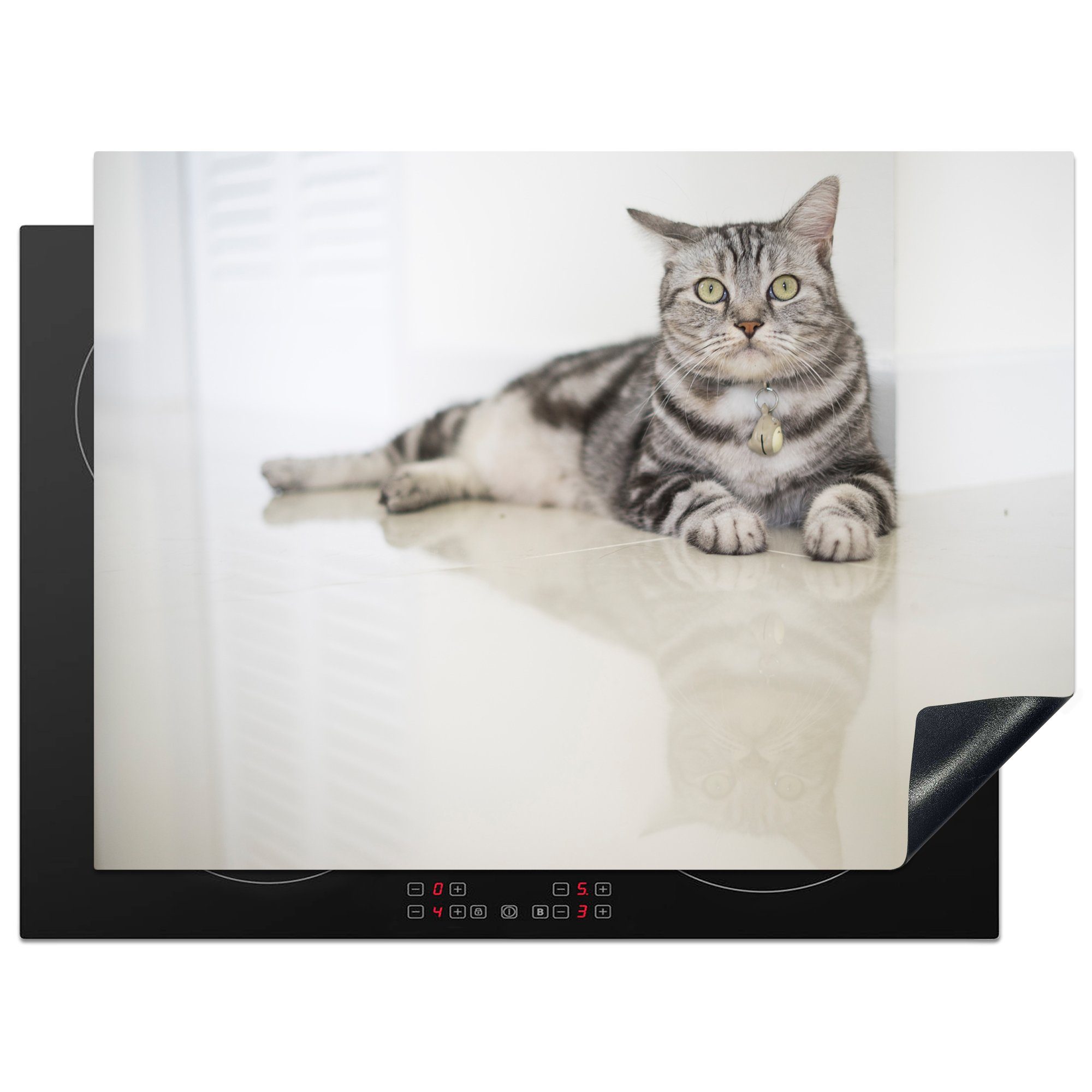 MuchoWow Herdblende-/Abdeckplatte Katze - Grau - Tier - Mädchen - Kinder - Jungen - Kind, Vinyl, (1 tlg), 71x52 cm, Induktionskochfeld Schutz für die küche, Ceranfeldabdeckung