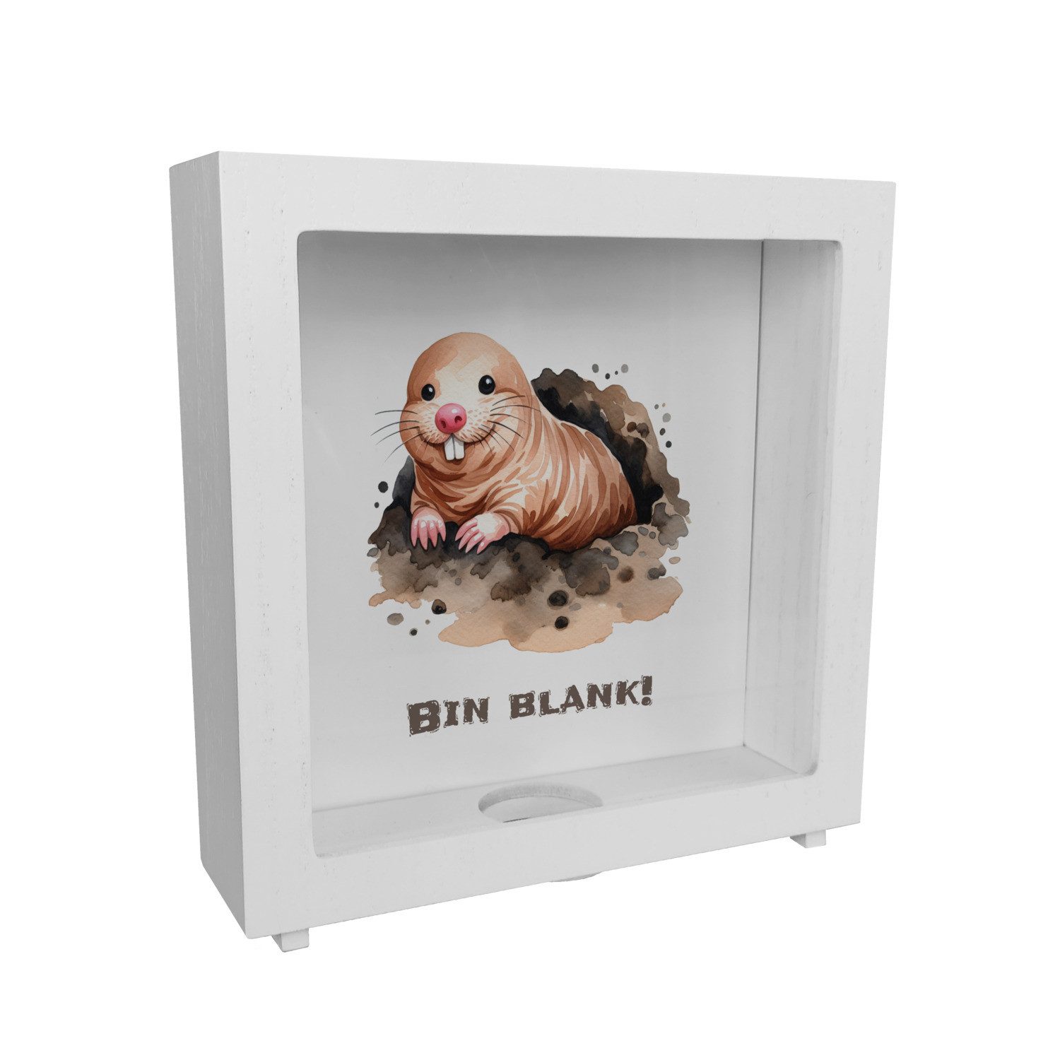 Spardose Nacktmull Rahmen Spardose aus Holz mit Spruch Bin blank!