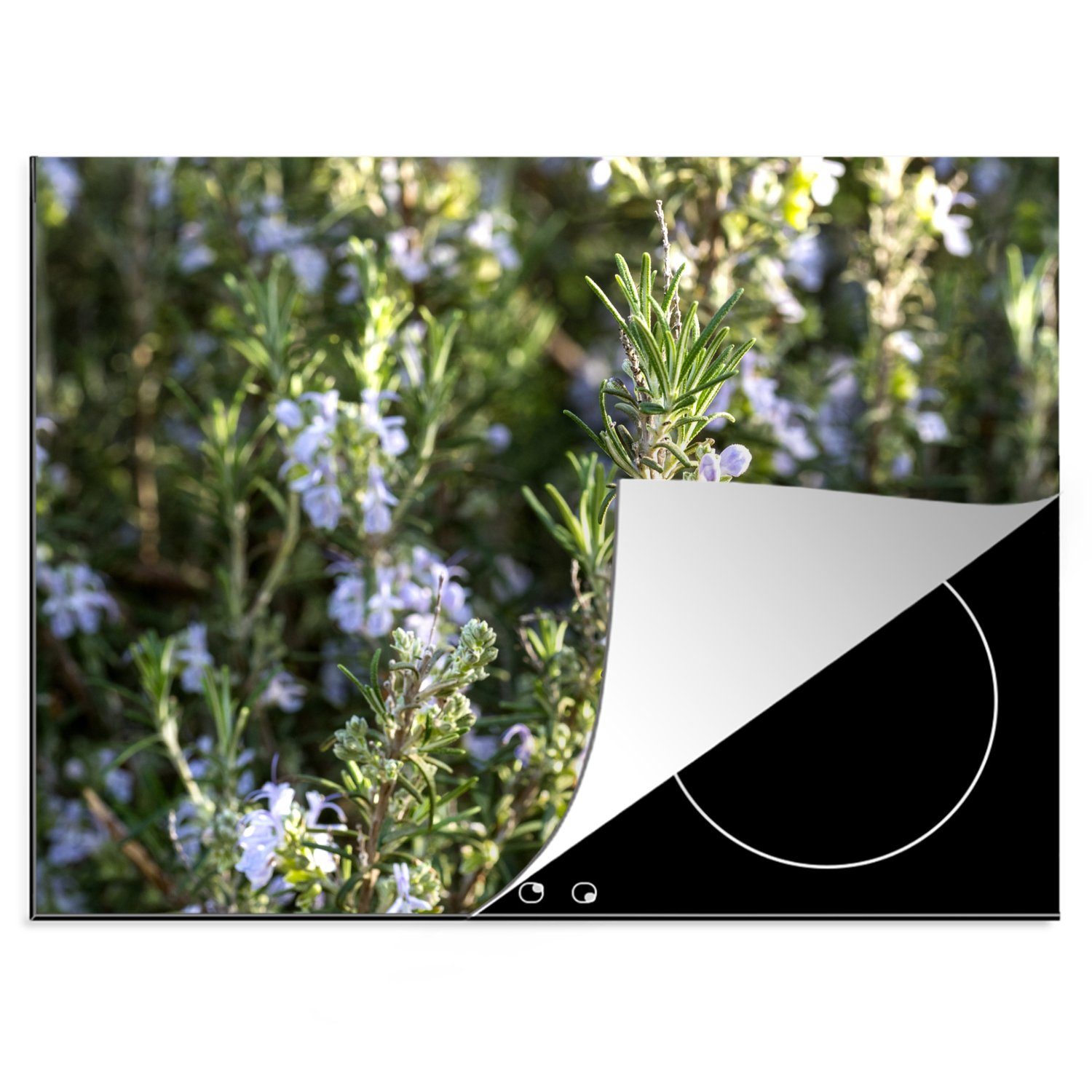 MuchoWow Herdblende-/Abdeckplatte Wilde Rosmarinpflanzen mit blühenden Blüten, Vinyl, (1 tlg), 70x52 cm, Mobile Arbeitsfläche nutzbar, Ceranfeldabdeckung