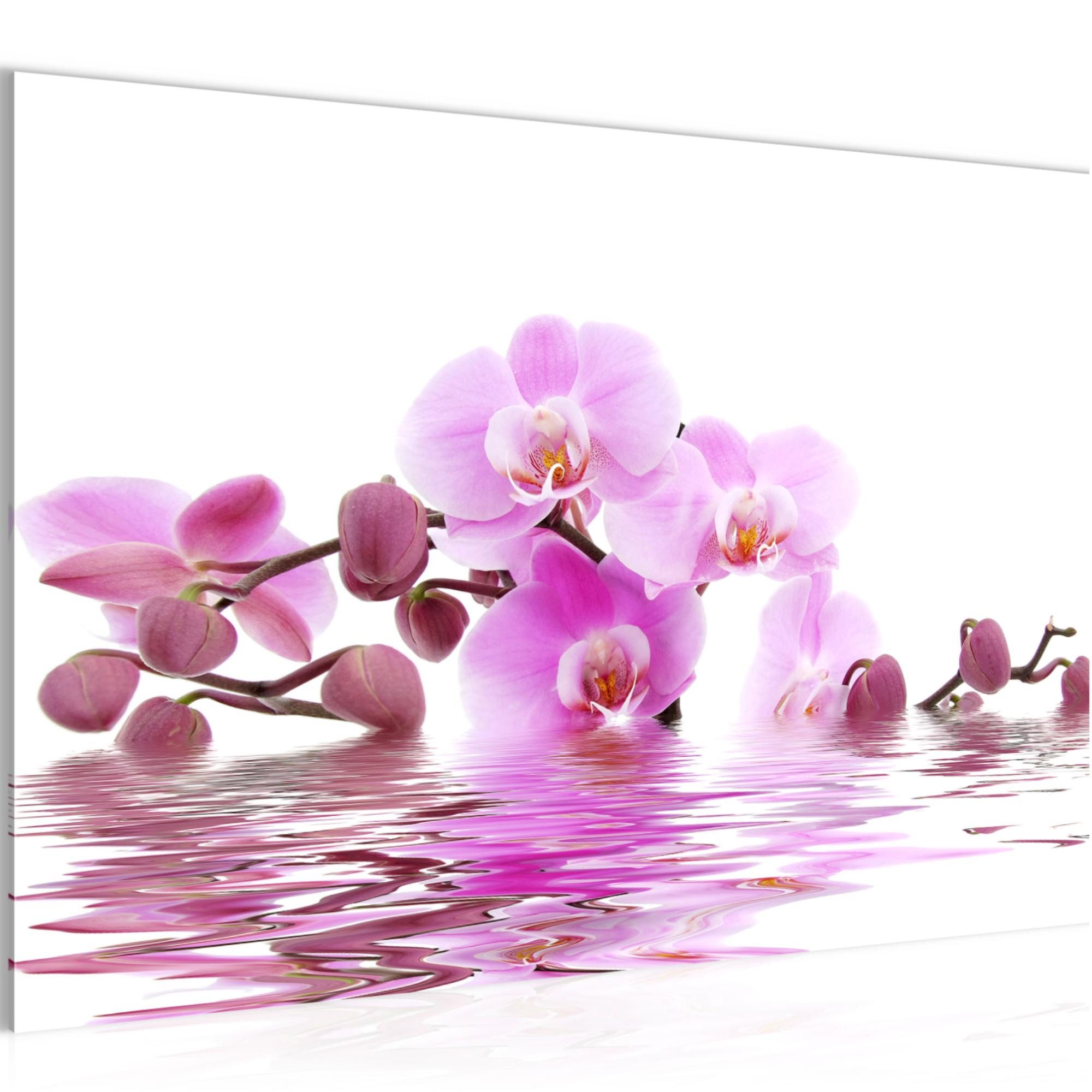 Runa Art Wandbild Bild Blumen Orchidee Modern Made In Germany Wasser Spa Rosa Flur 2006, 60L x 40B cm