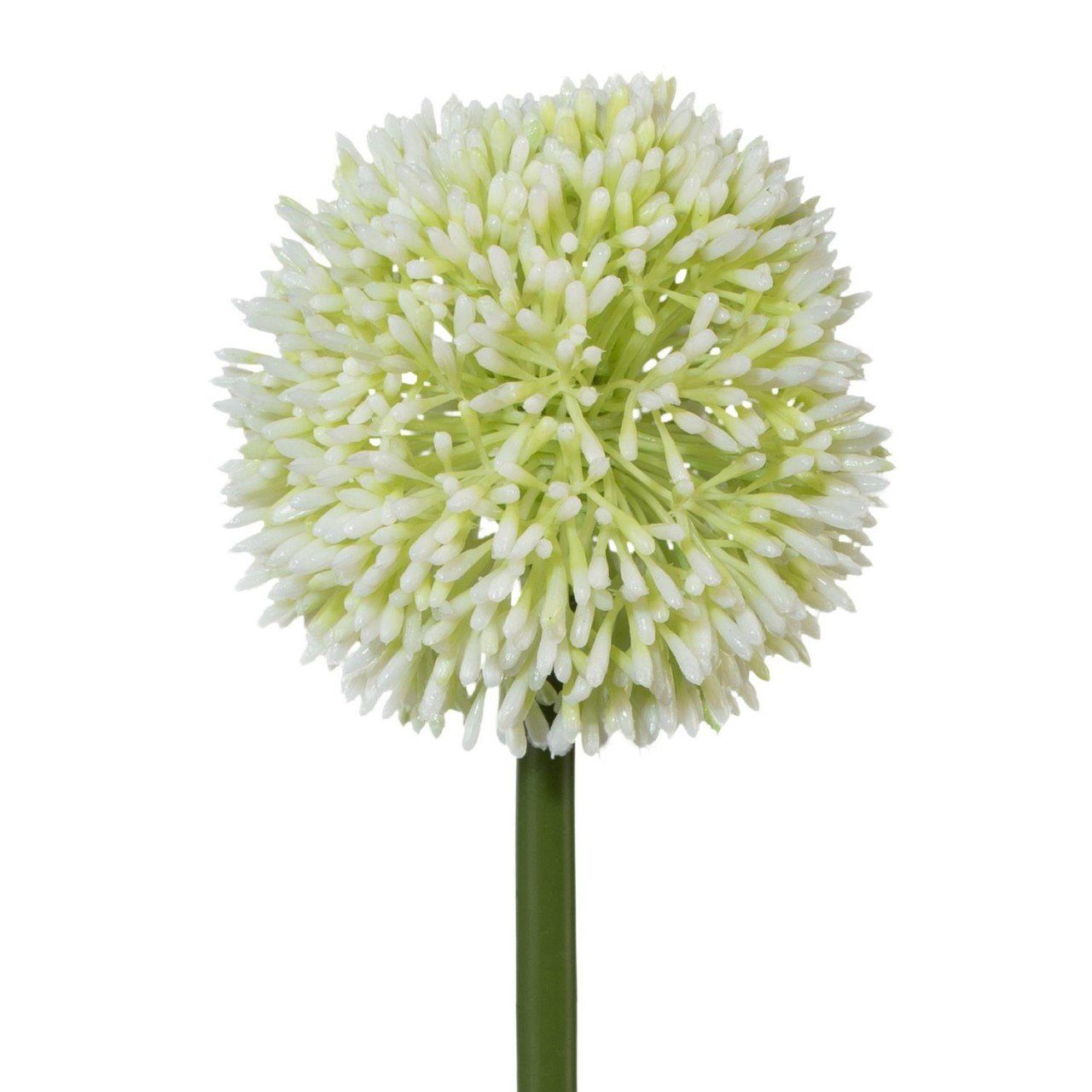 Höhe 64 Kunstpflanze, D:11cm cm, Gasper, Weiß Kunststoff H:64cm