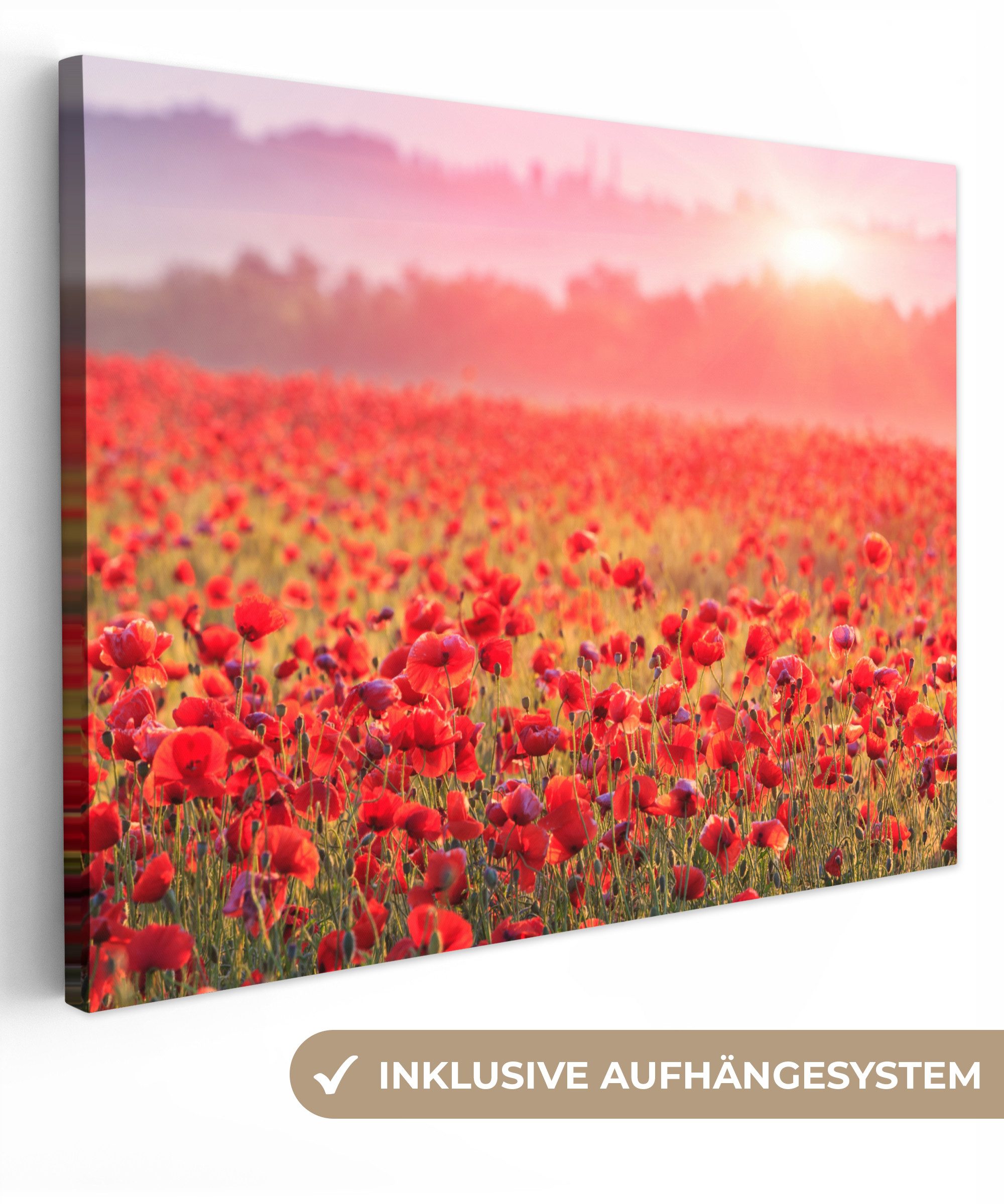 OneMillionCanvasses® Leinwandbild Blumen - Mohn - Rot - Blumenfeld, Fotodruck (1 St), Wandbild Leinwandbilder, Aufhängefertig, Wanddeko 40x30 cm