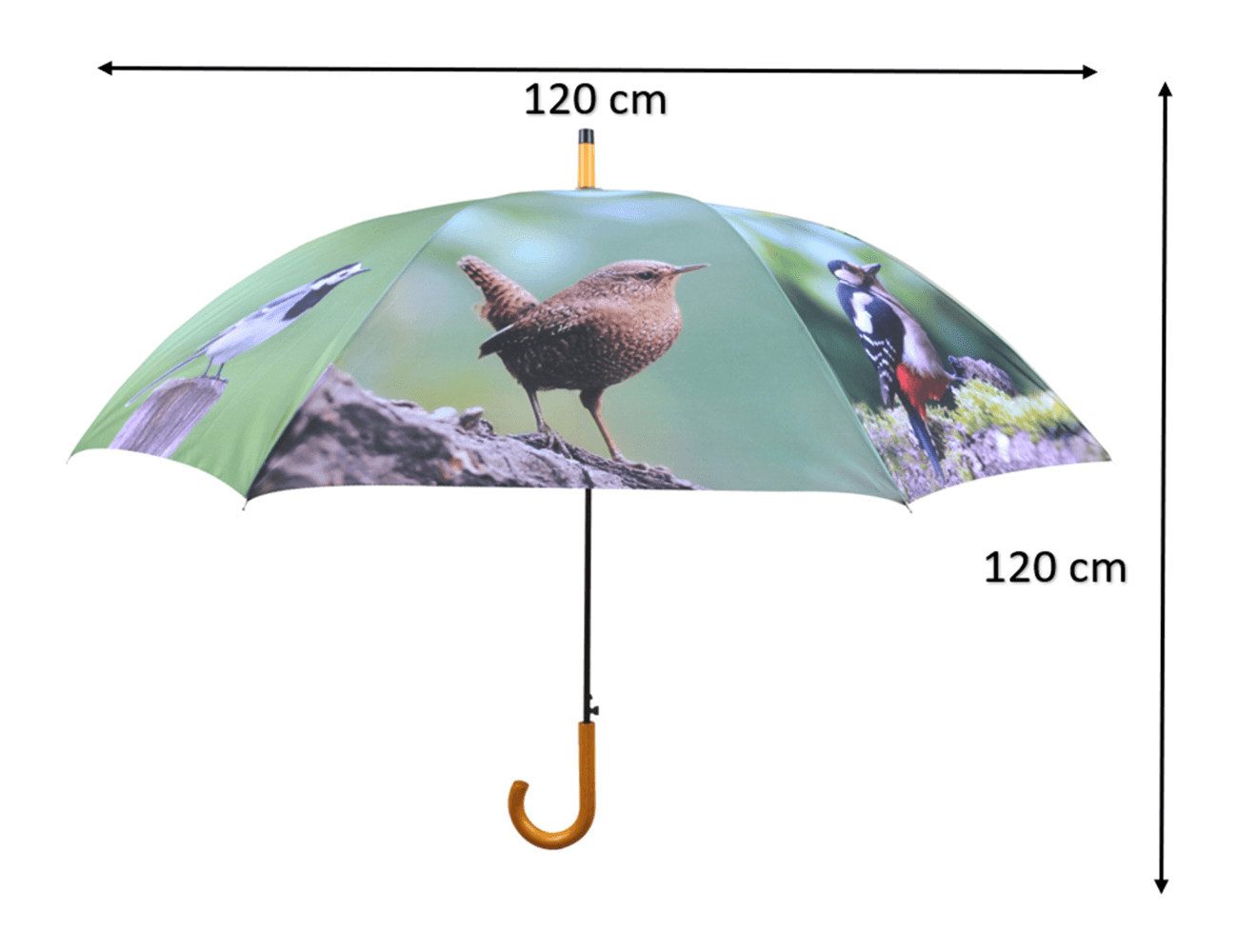 degawo Stockregenschirm Regenschirm mit Vogel Motiven, automatischer Öffnungsmechanismus