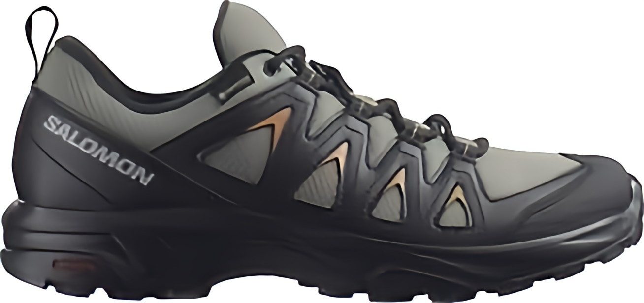 Salomon X Braze GTX für Herren Outdoorschuh