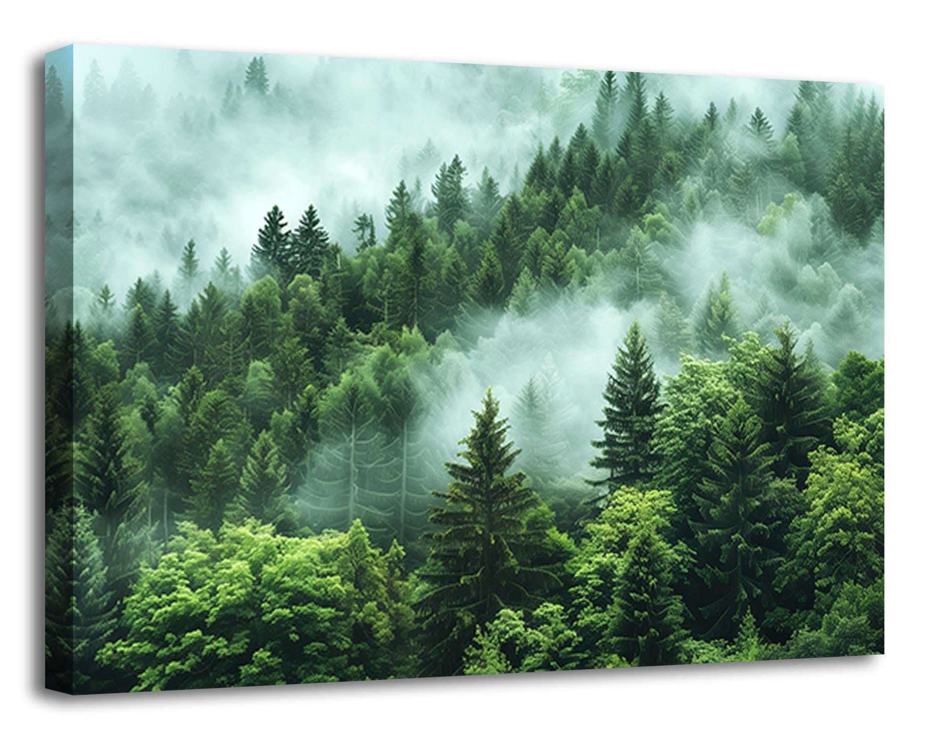 Visario Bild Bild auf Leinwand fertig günstig online kaufen