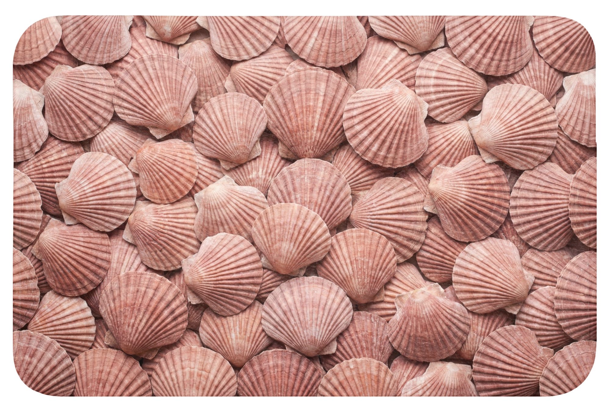 OnlyWow Badematte Muscheln - Muster - Rosa, Höhe 10 mm, Polyester, Rechteckig, Badezimmerteppich, Badteppich, Rutschfest, Badvorleger, Waschbar
