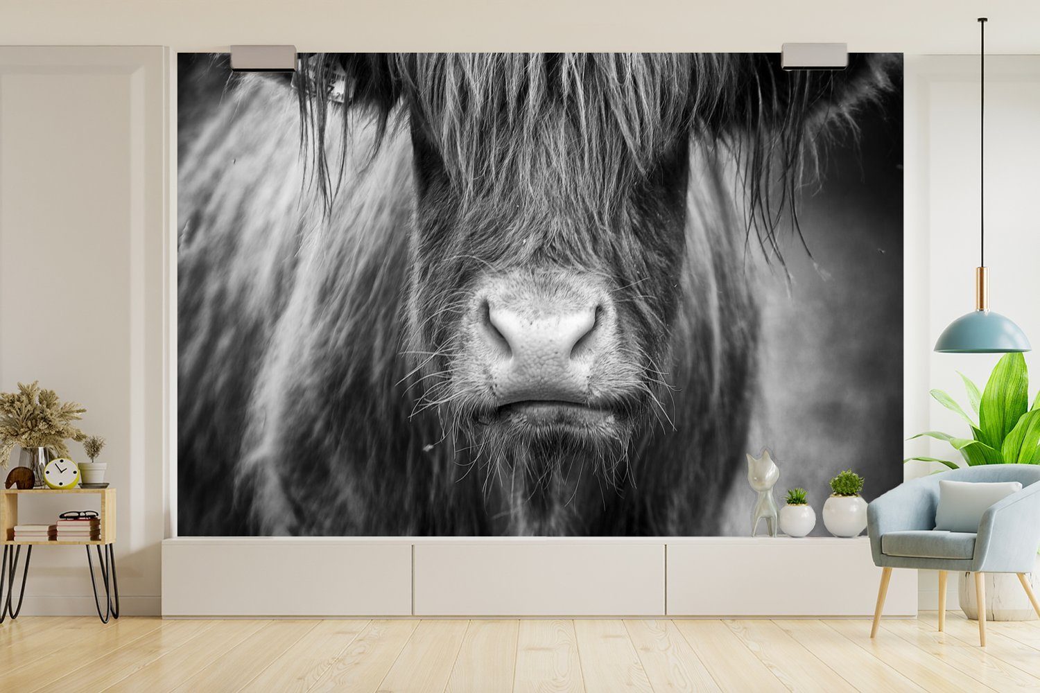 MuchoWow Fototapete Schottischer Highlander Kuhkopf Tapete Kinderzimmer, St), Weiß, bedruckt, für Vinyl Wallpaper - (6 Schwarz - Matt, Wohnzimmer, Schlafzimmer, und