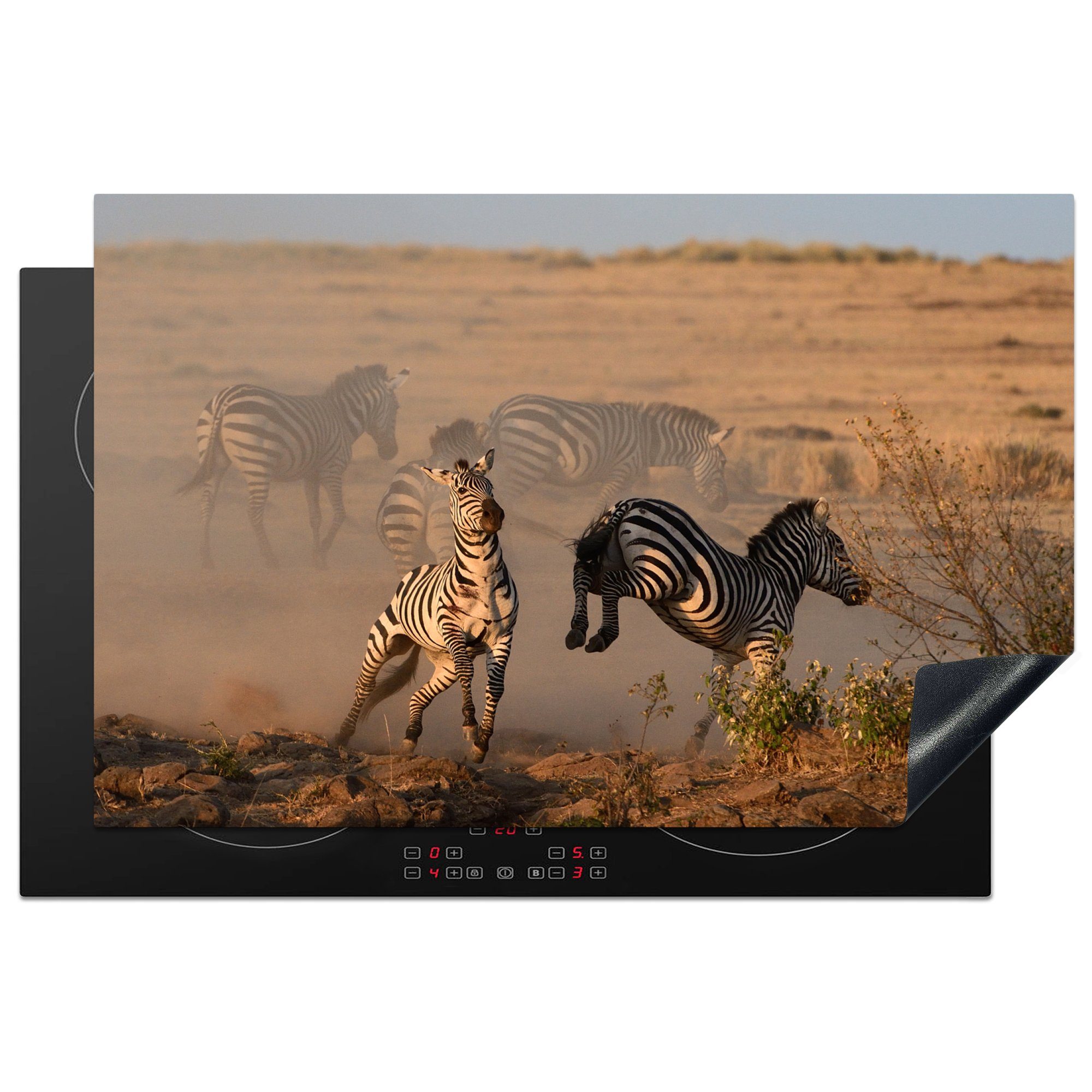 Schutz Herdblende-/Abdeckplatte Tretendes tlg), Zebra, 81x52 cm, die (1 Ceranfeldabdeckung MuchoWow für Vinyl, Induktionskochfeld küche,