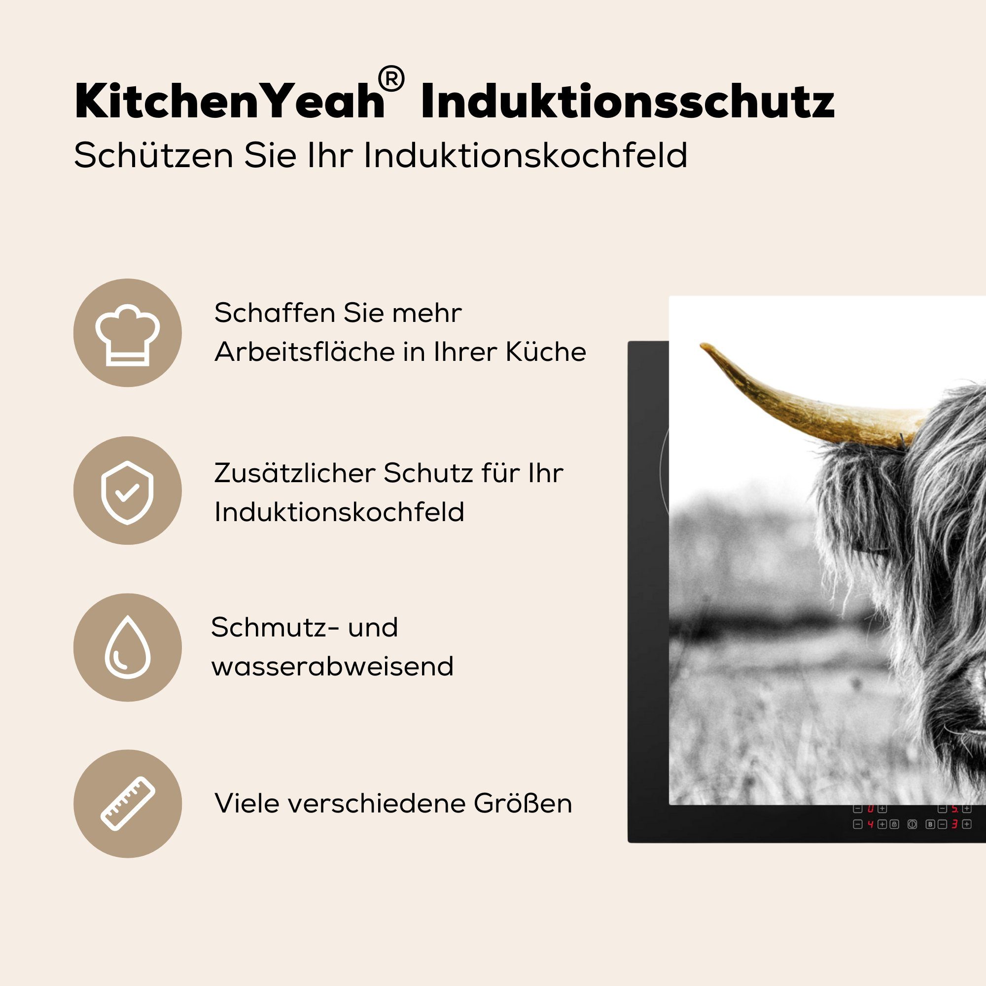 MuchoWow Herdblende-/Abdeckplatte Schottischer Highlander - - 81x52 küche, die - für Hörner Schwarz, Schutz (1 Vinyl, Induktionskochfeld tlg), cm, Gold Ceranfeldabdeckung
