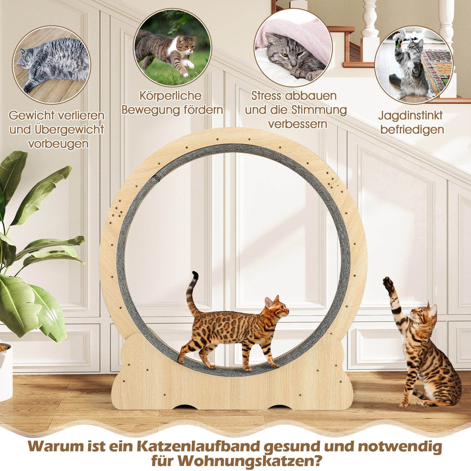 COSTWAY Tierlaufrad, Katzen-Trainingsrad, Katzentretmühle, Katzenlaufrad aus Holz, leise