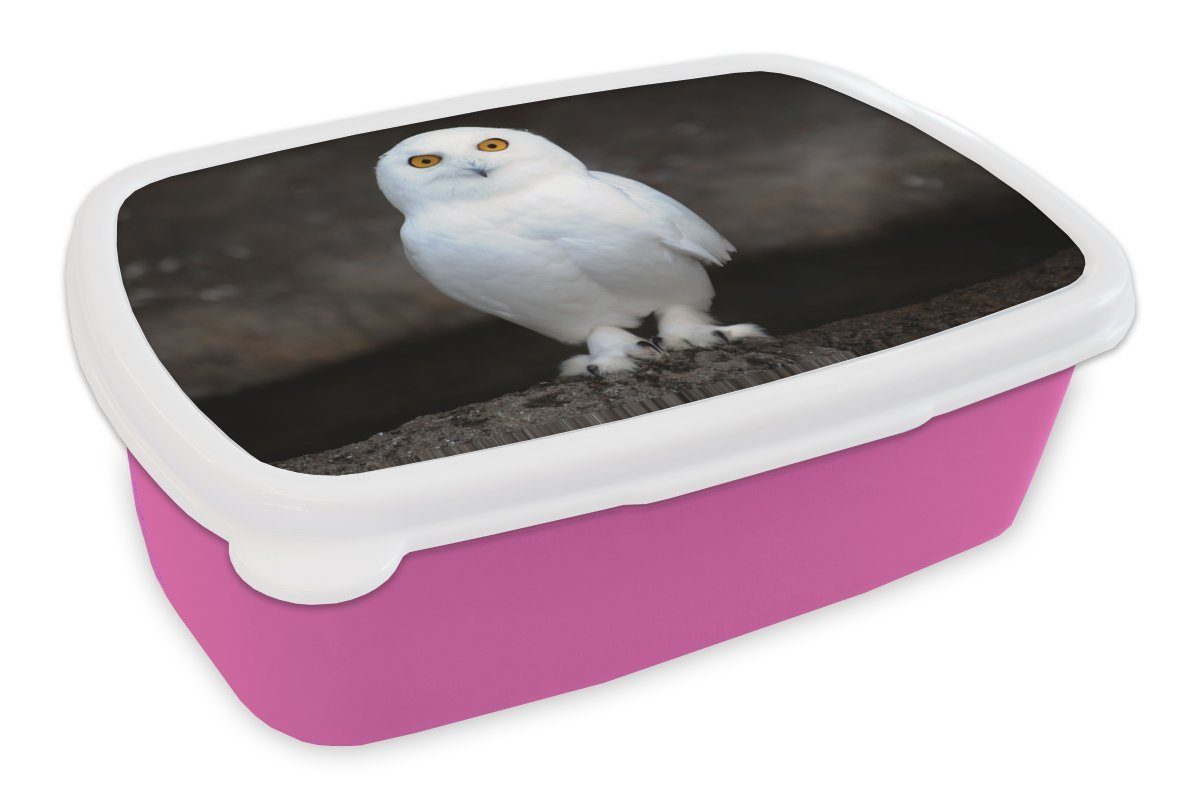 MuchoWow Lunchbox Schneeeule, Kunststoff, (2-tlg), Brotbox für Erwachsene, Brotdose Kinder, Snackbox, Mädchen, Kunststoff rosa
