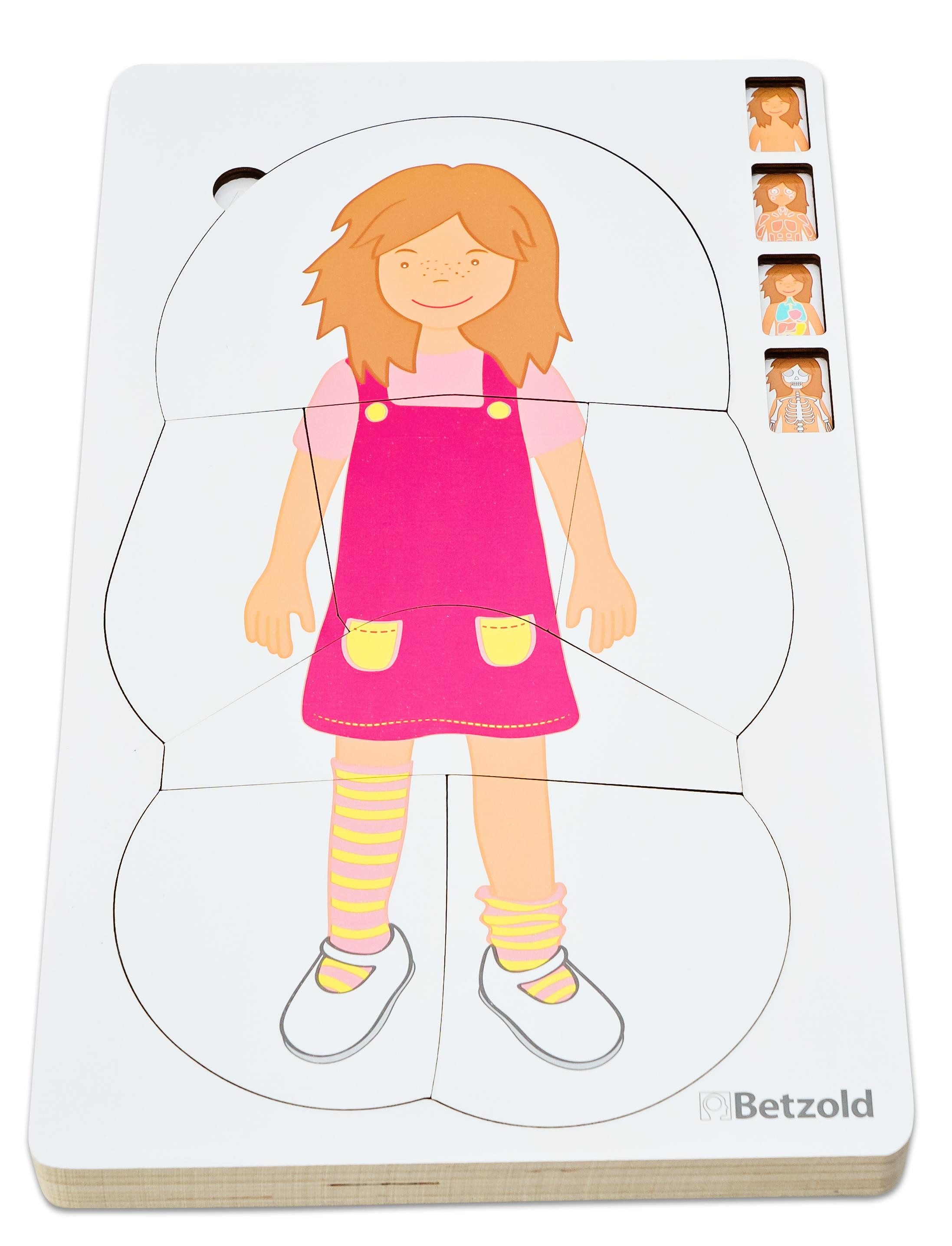 Betzold Puzzle Lagenpuzzle „Anatomie“, Puzzleteile