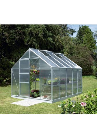 VITAVIA Оранжерея комплект »Merkur 8300&...