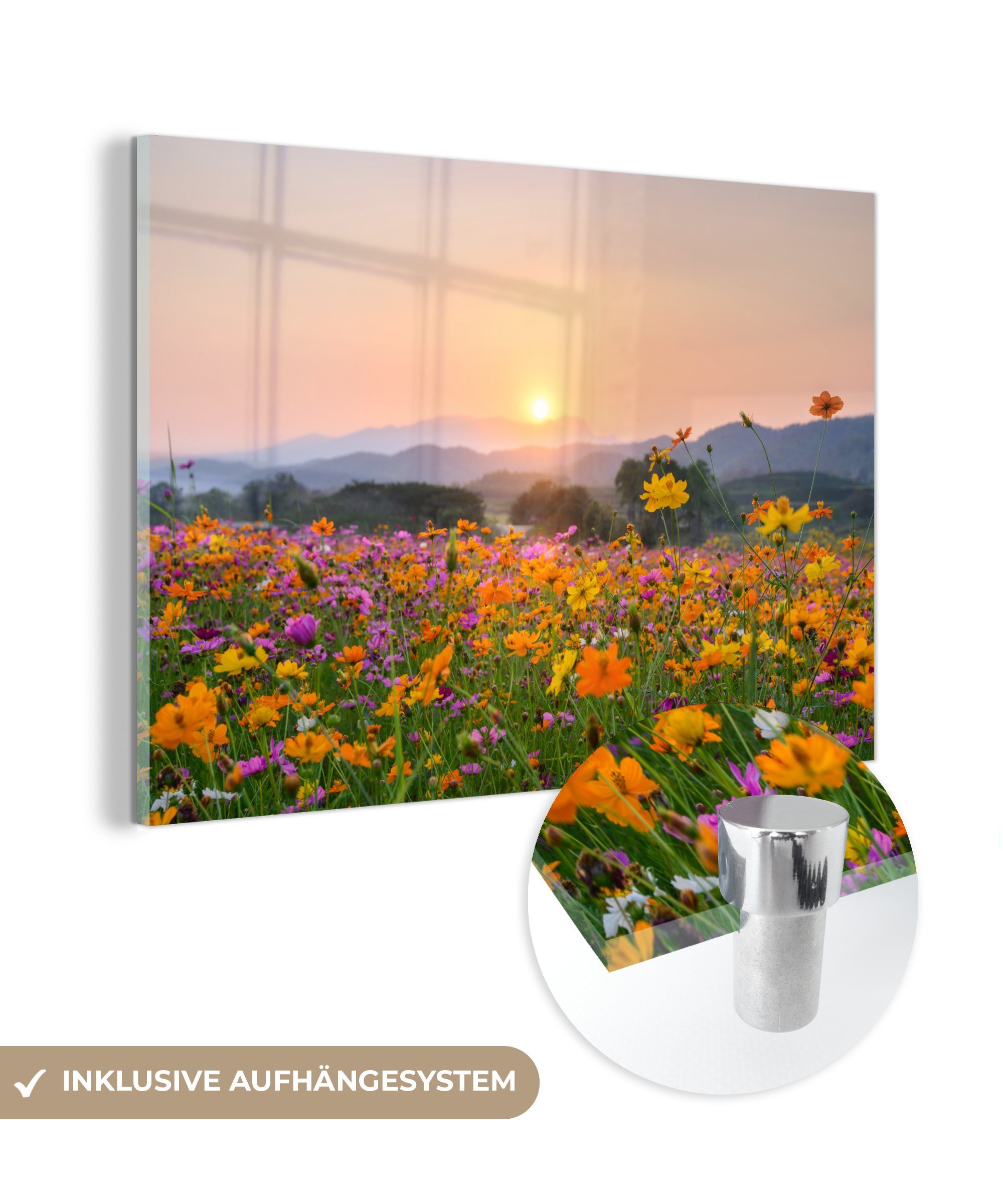 MuchoWow Acrylglasbild Blumen - Sonnenuntergang - Berg, (1 St), Glasbilder - Bilder auf Glas Wandbild - Foto auf Glas - Wanddekoration