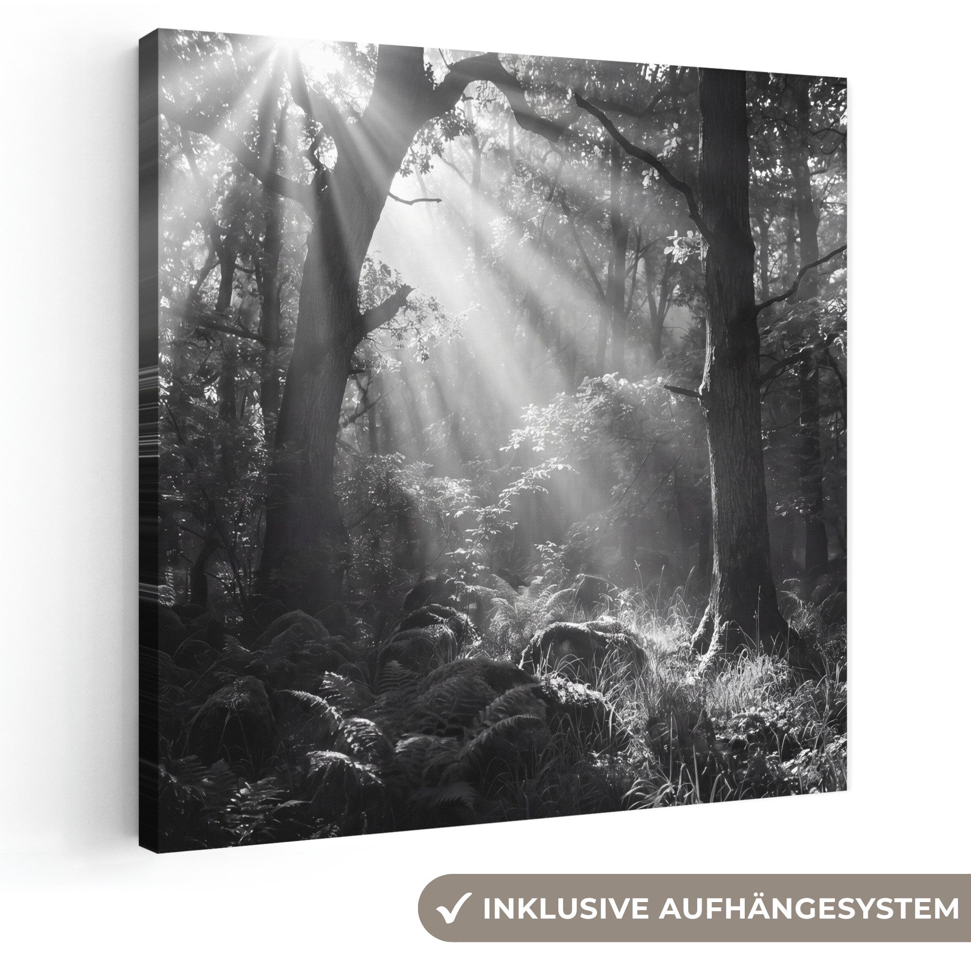 OneMillionCanvasses® Leinwandbild Wald – Lichtstrahlen – Natur – Schwarz-Weiß, Fotodruck (1 St), Wandbild, Deko Schlafzimmer Wohnzimmer Flur 20x20 cm