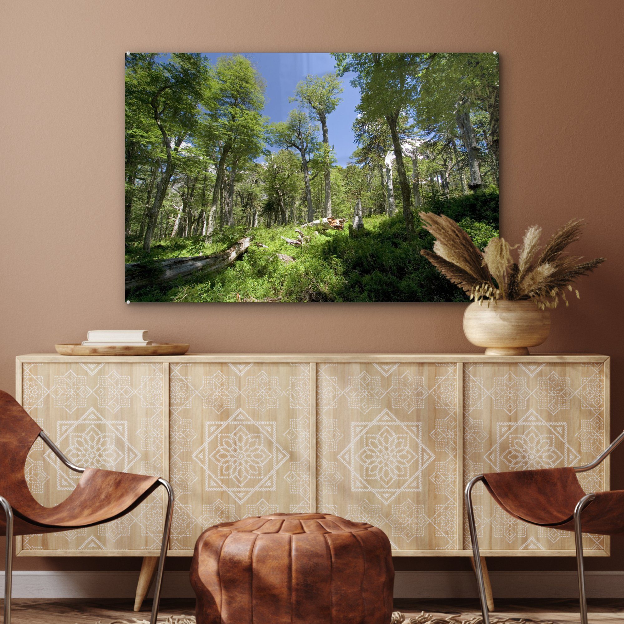 Acrylglasbilder im Wälder St), (1 Acrylglasbild Chile, Wohnzimmer Villarrica-Nationalpark & Schlafzimmer MuchoWow in