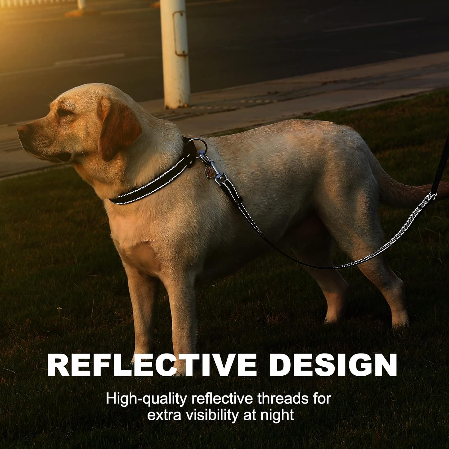 LA CUTE Hundeleine Hundehalsband & Leine Set reflektierend, gepolstert, verstellbar, (Hundehalsband & Leine Set für kleine, mittelgroße & große Hunde, Hundehals – Bild 4 von 5