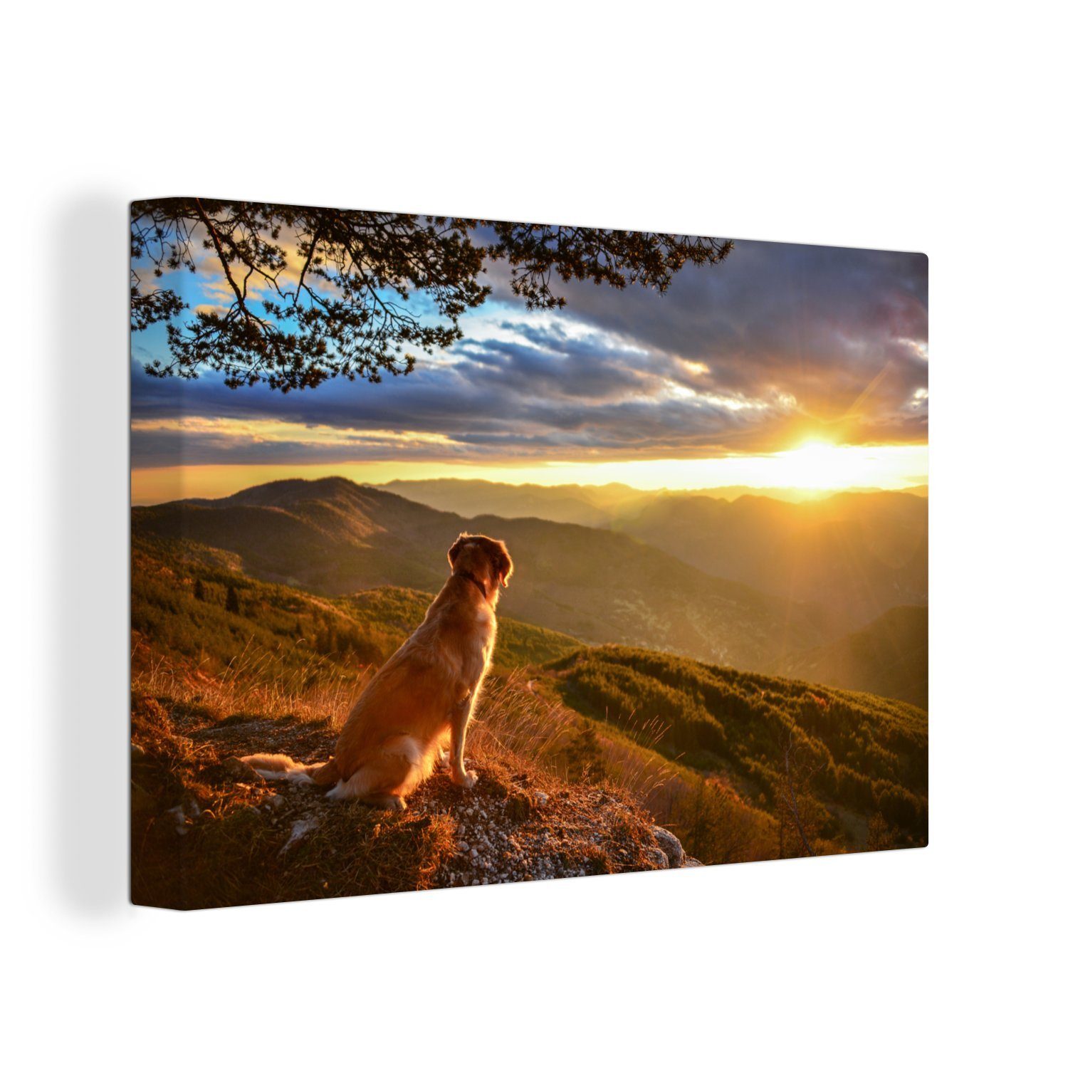 OneMillionCanvasses® Leinwandbild Ein Golden Retriever beobachtet den Sonnenuntergang, (1 St), Wandbild Leinwandbilder, Aufhängefertig, Wanddeko, 30x20 cm
