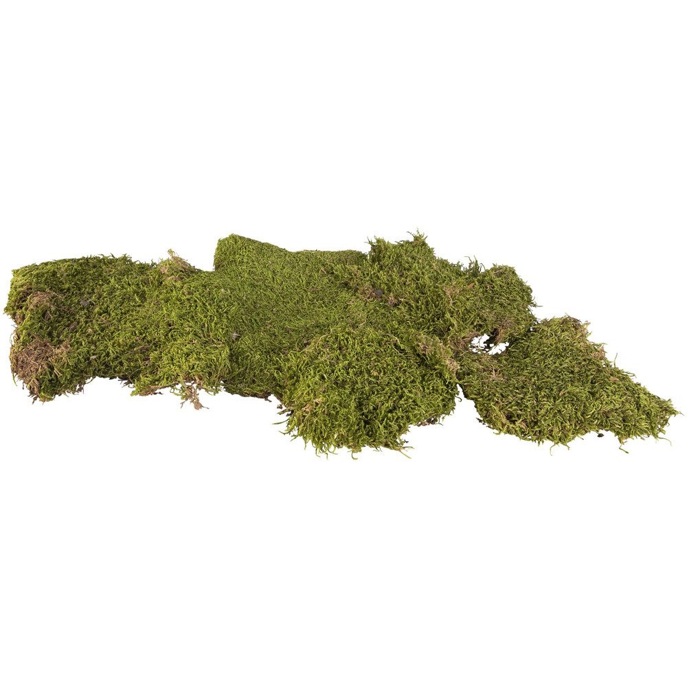 Koopmann Weihnachtsfigur Deko-Moos - 100 g günstig online kaufen