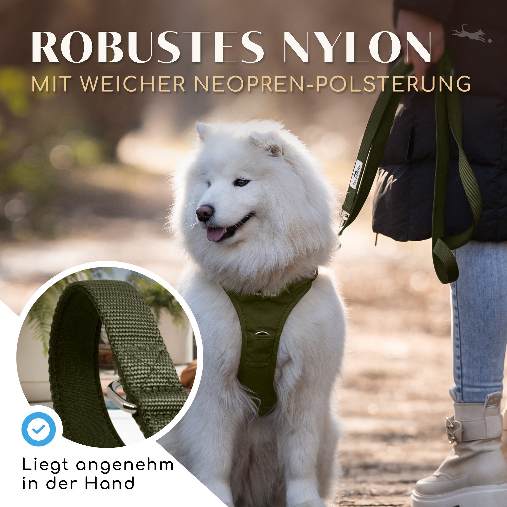 Freudentier Hundeleine 2m für mittelgroße & große Hunde, Führleine verstellbar, weich gepolstert