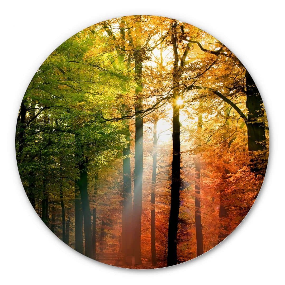 K&L Wall Art Gemälde »AluDibond Poster Rund Goldener Herbst Natur Wald