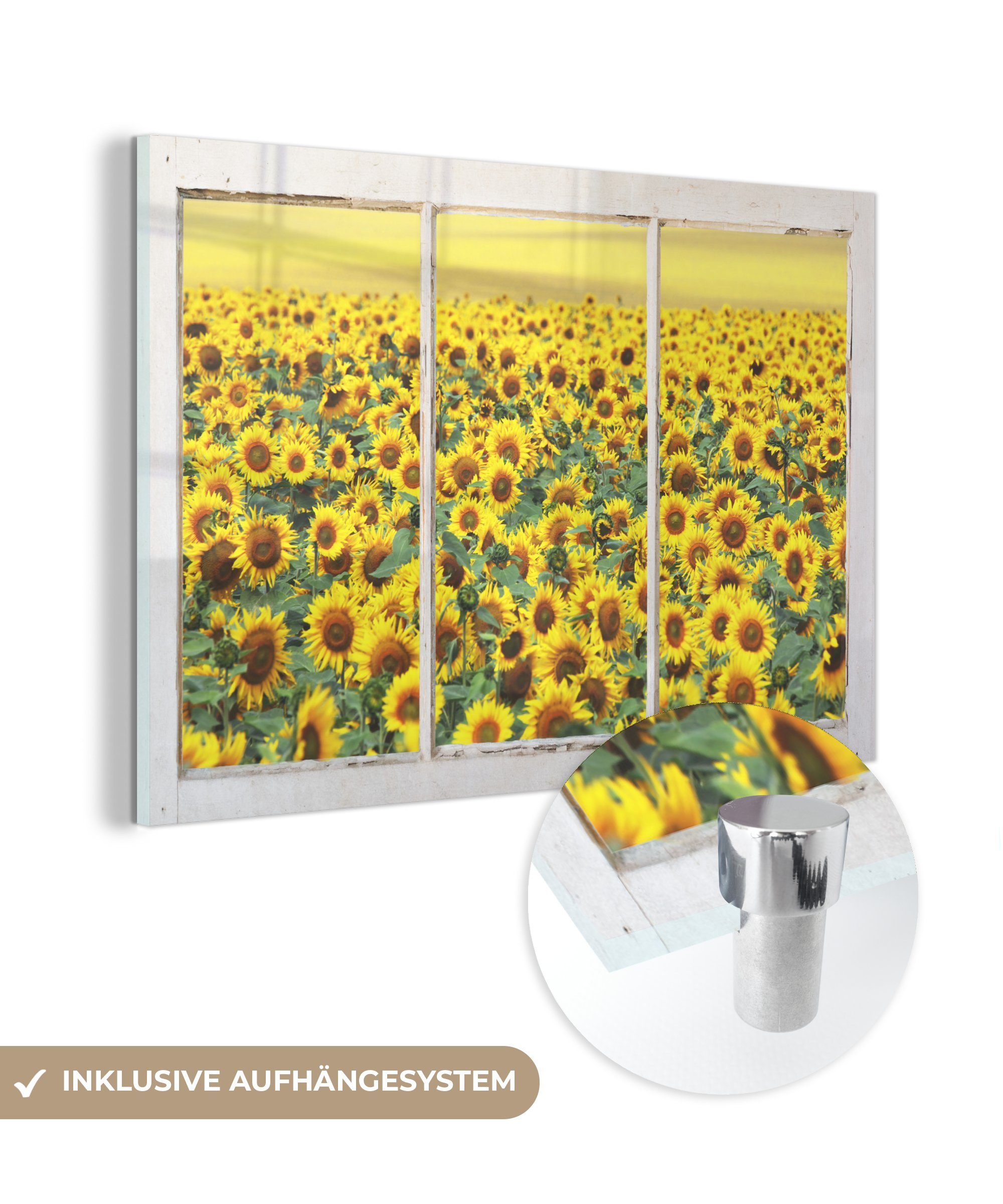 MuchoWow Acrylglasbild Transparent - Sonnenblume - Gelb, (1 St), Glasbilder - Bilder auf Glas Wandbild - Foto auf Glas - Wanddekoration