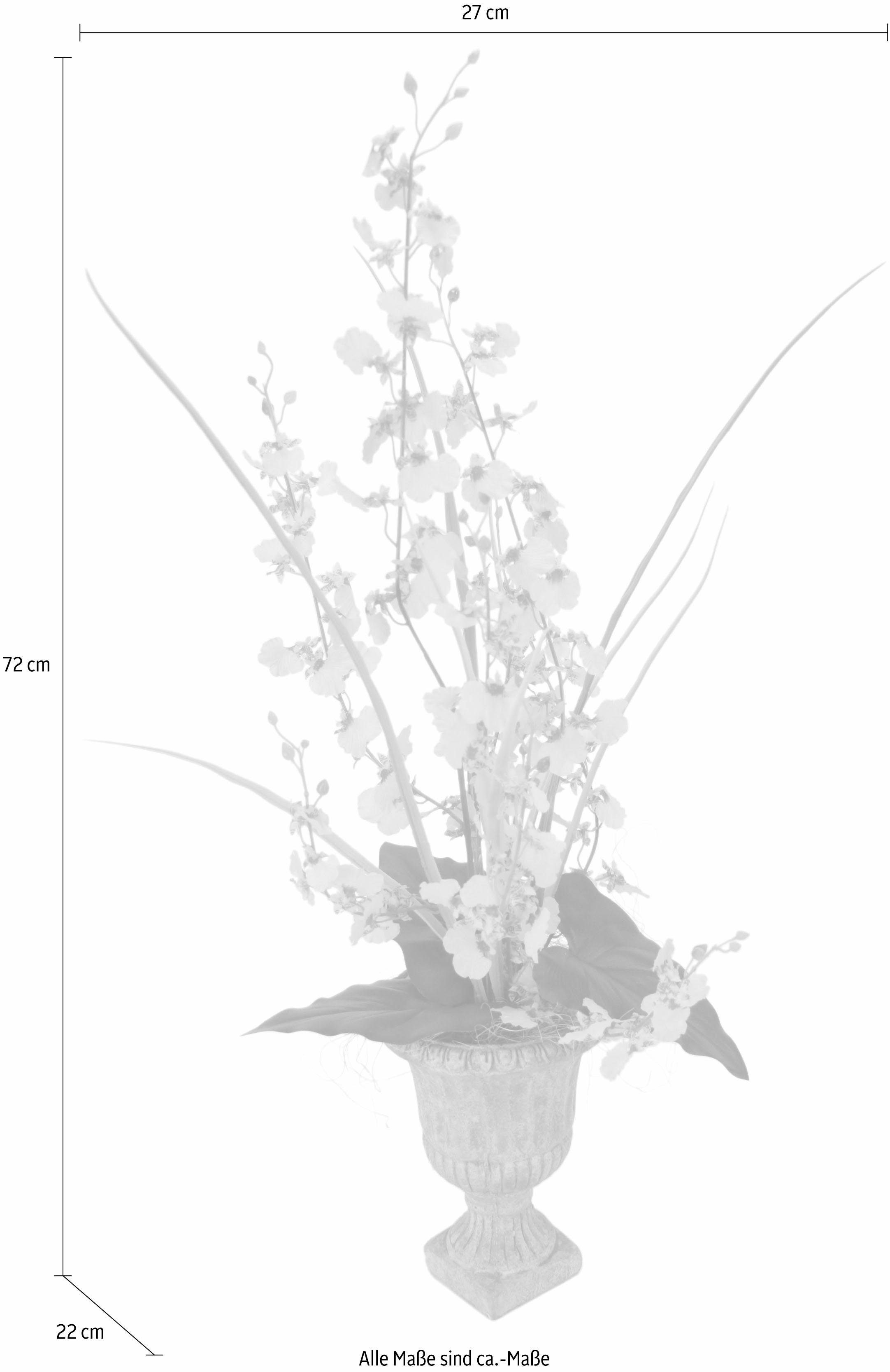 Kunstpflanze Orchidee, I.GE.A., Höhe 72 cm-HomeTrends