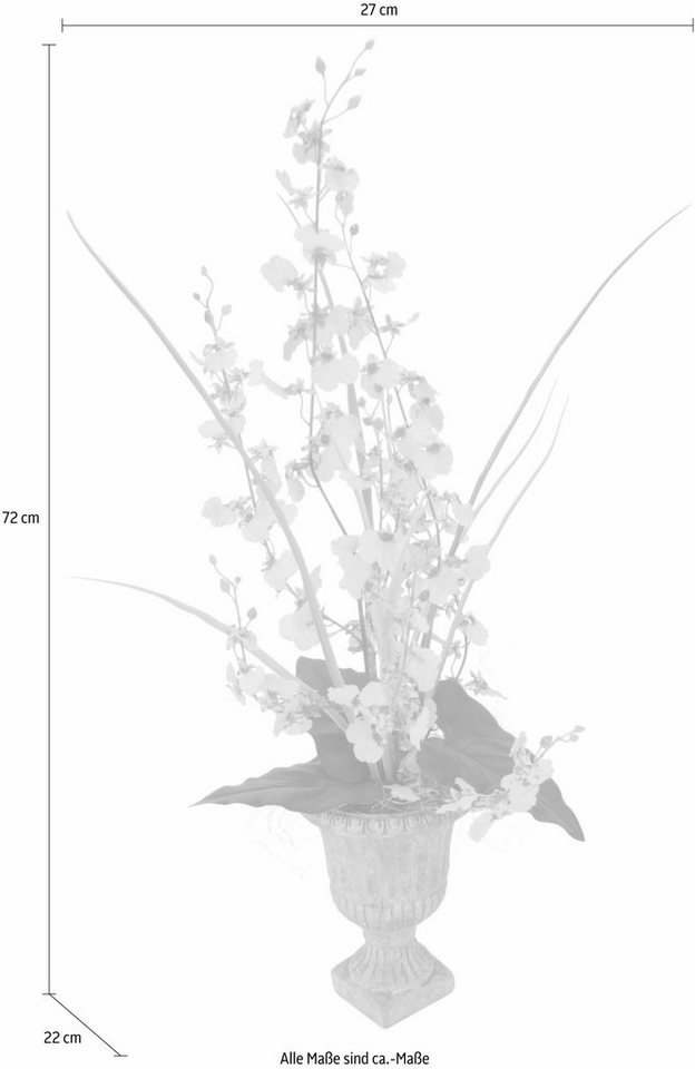 Kunstpflanze Orchidee, I.GE.A., Höhe 72 cm-HomeTrends