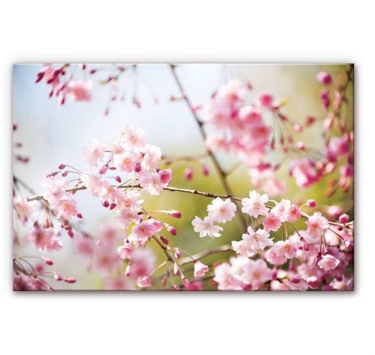 Wall-Art Küchenrückwand Floral Spritzschutz Kirschblüten, (1-tlg)
