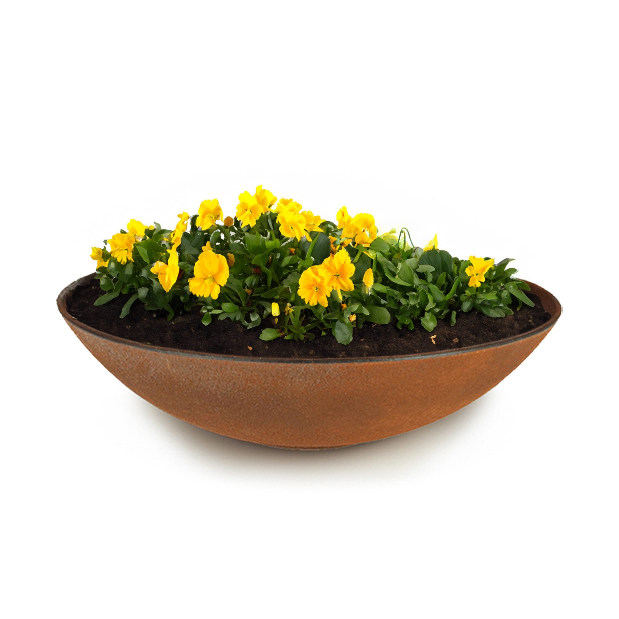 matches21 HOME & HOBBY Blumentopf Flache Pflanzschale für draussen Dekoschale rund Rost-Optik 28 cm (1 St), Blumen-Schale als wetterfeste Friedhof-Schale Grab-Schmuck Grabschale
