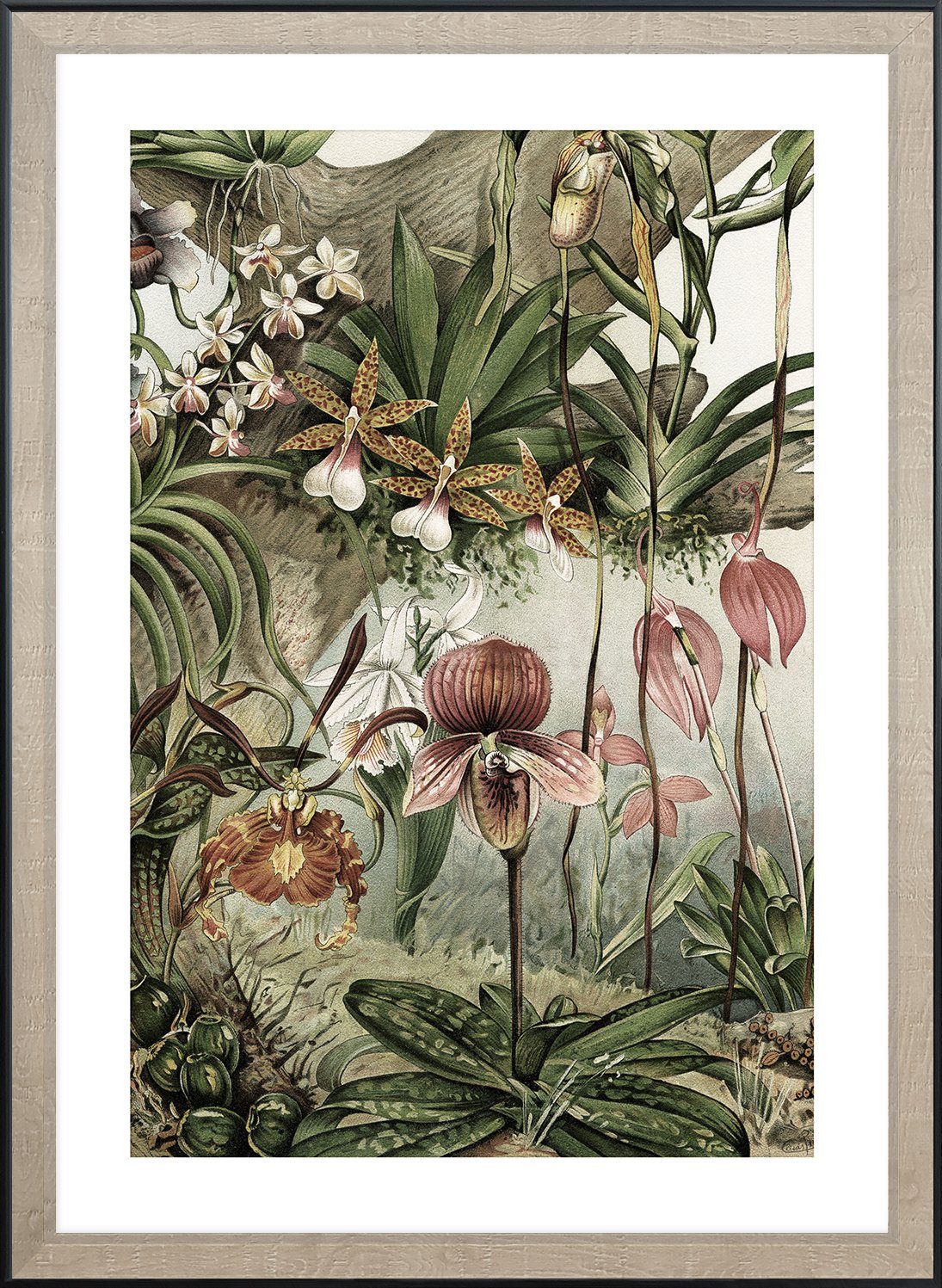 Cosy Home Ideas Bild mit Rahmen Wandbild Blumen Dschungel Palmen 60x90 cm Bild mit Rahmen, Dschungel & Orchideen (1 Stück), Kunstdruck beschichtet - ohne Glas braun | braun