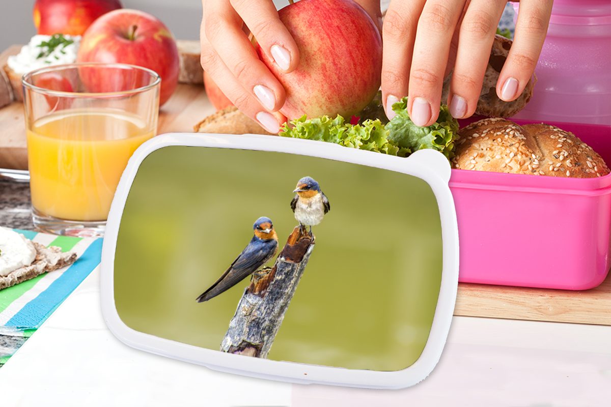 MuchoWow Lunchbox Vögel Brotdose Snackbox, Kunststoff - - Kunststoff, (2-tlg), Zweig Mädchen, für Porträt, Kinder, Brotbox Erwachsene, rosa