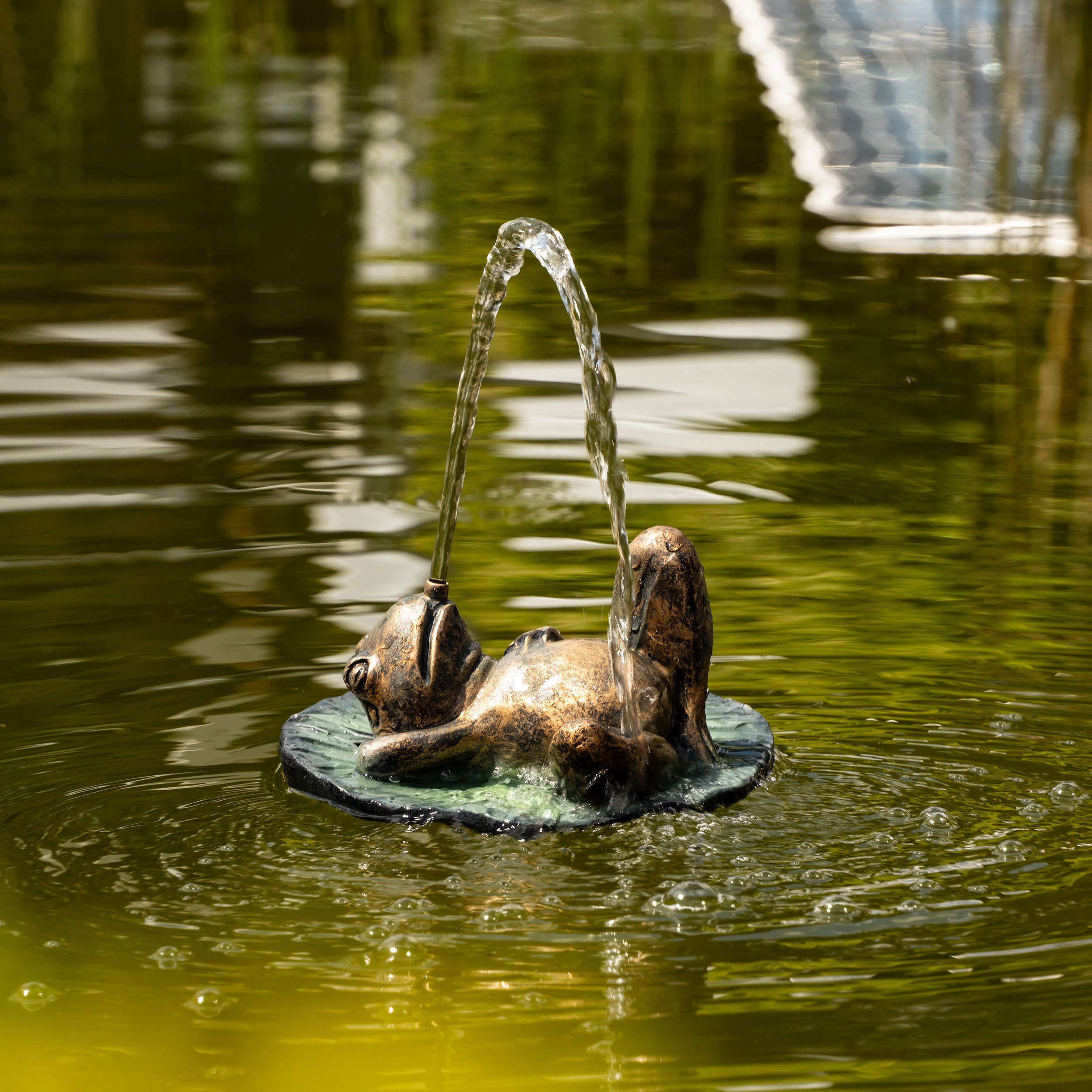 esotec Wasserspeier Solar Komplettset treibender Frosch auf Seerosenblatt mit Pumpe 101672 (Komplettset)
