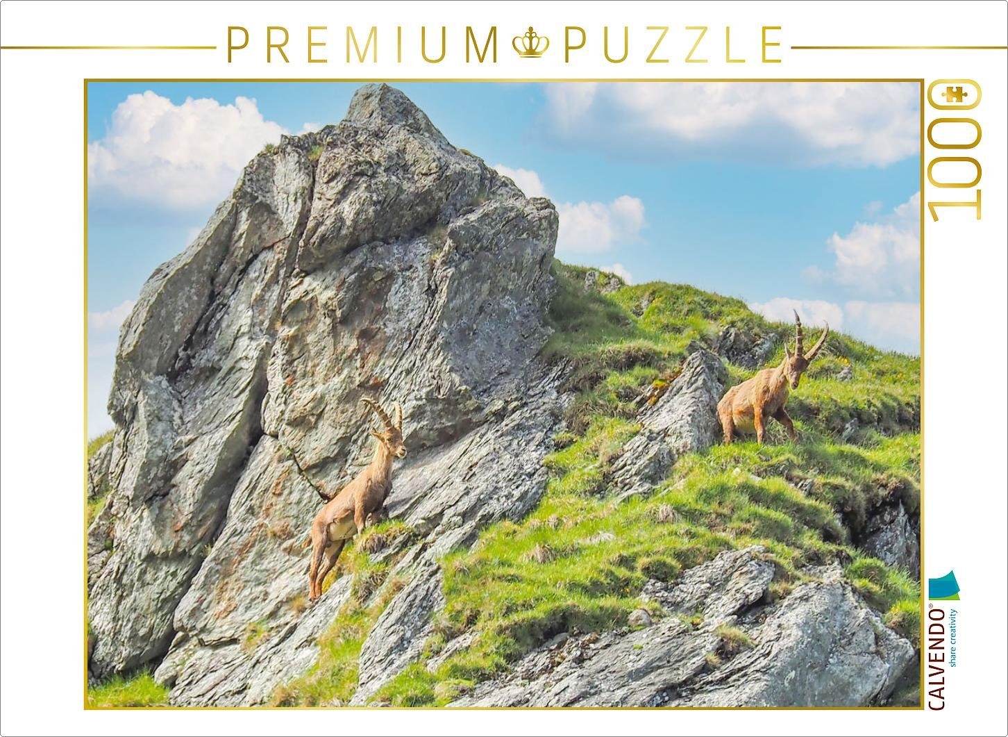 Puzzle CALVENDO Puzzle Steinböcke 1000 Teile Lege-Größe 64 x 48 cm Foto-Puzzle Bild von VogtArt