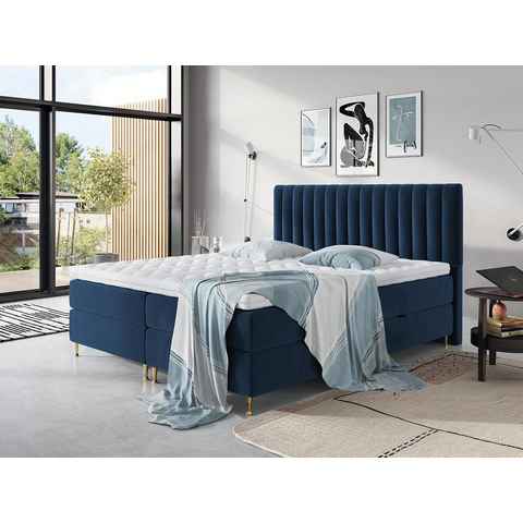 MIRJAN24 Boxspringbett Elegance (Topper, Matratze und 2 Bettkästen + Gasdruckfedern), Doppelbett mit Kopfteil