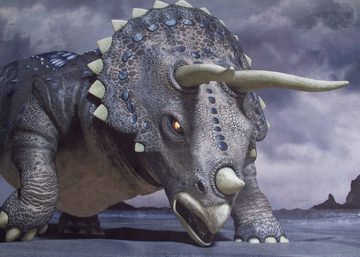 Kinderteppich Triceratops, Steffensmeier, Rechteckig, Junge, Kinderteppich, Kinderzimmer