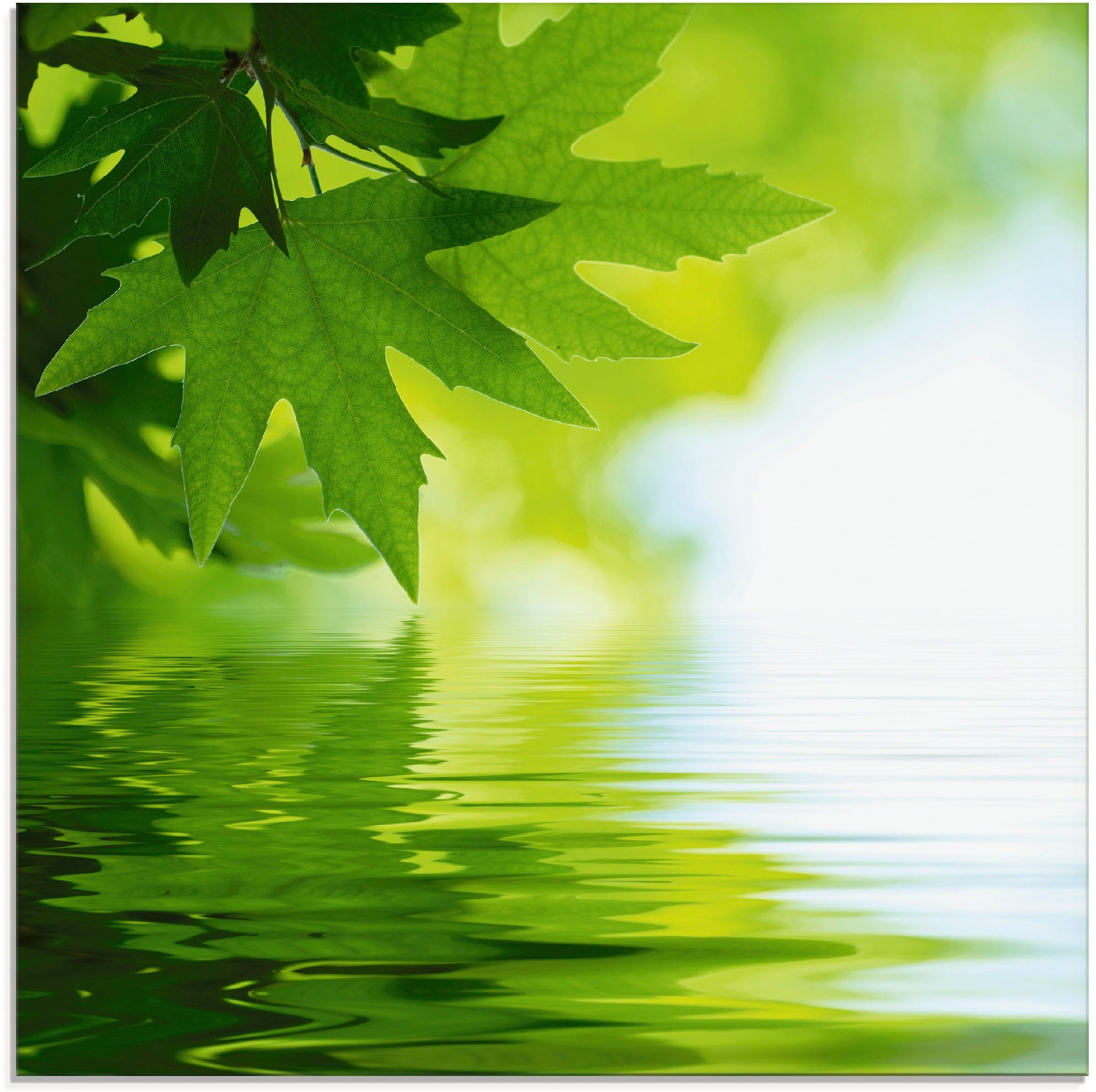 Artland Glasbild Grüne Blätter reflektieren im Wasser, Blätter (1 St), in verschiedenen Größen