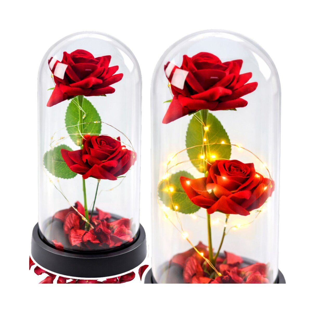 Wisam Aufbewahrungsbox Ewige 2 Rosen Glaskuppel LED Rot 21 cm Geschenk