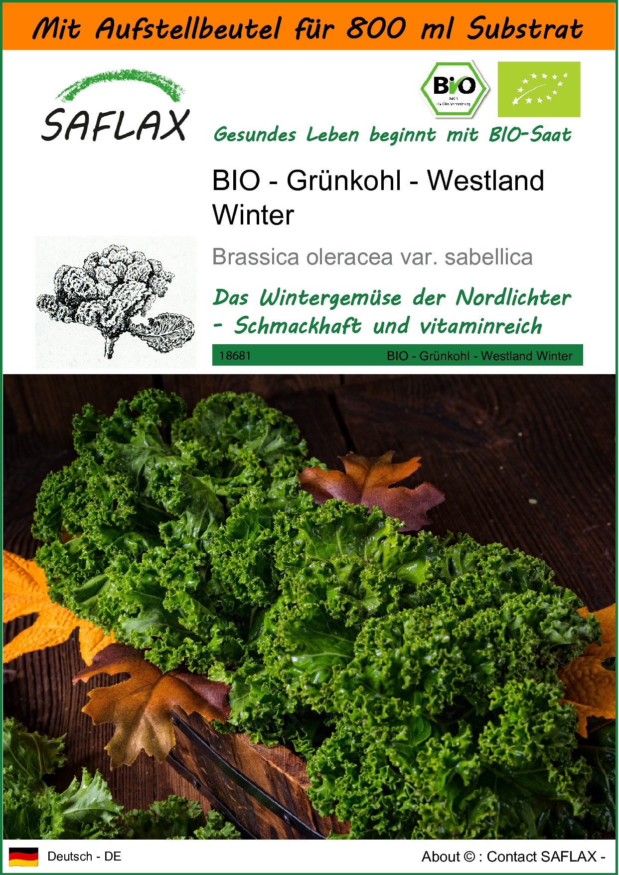 SAFLAX Gemüsesamen SAFLAX - Garden in the bag - BIO - Grünkohl - Westland Winter