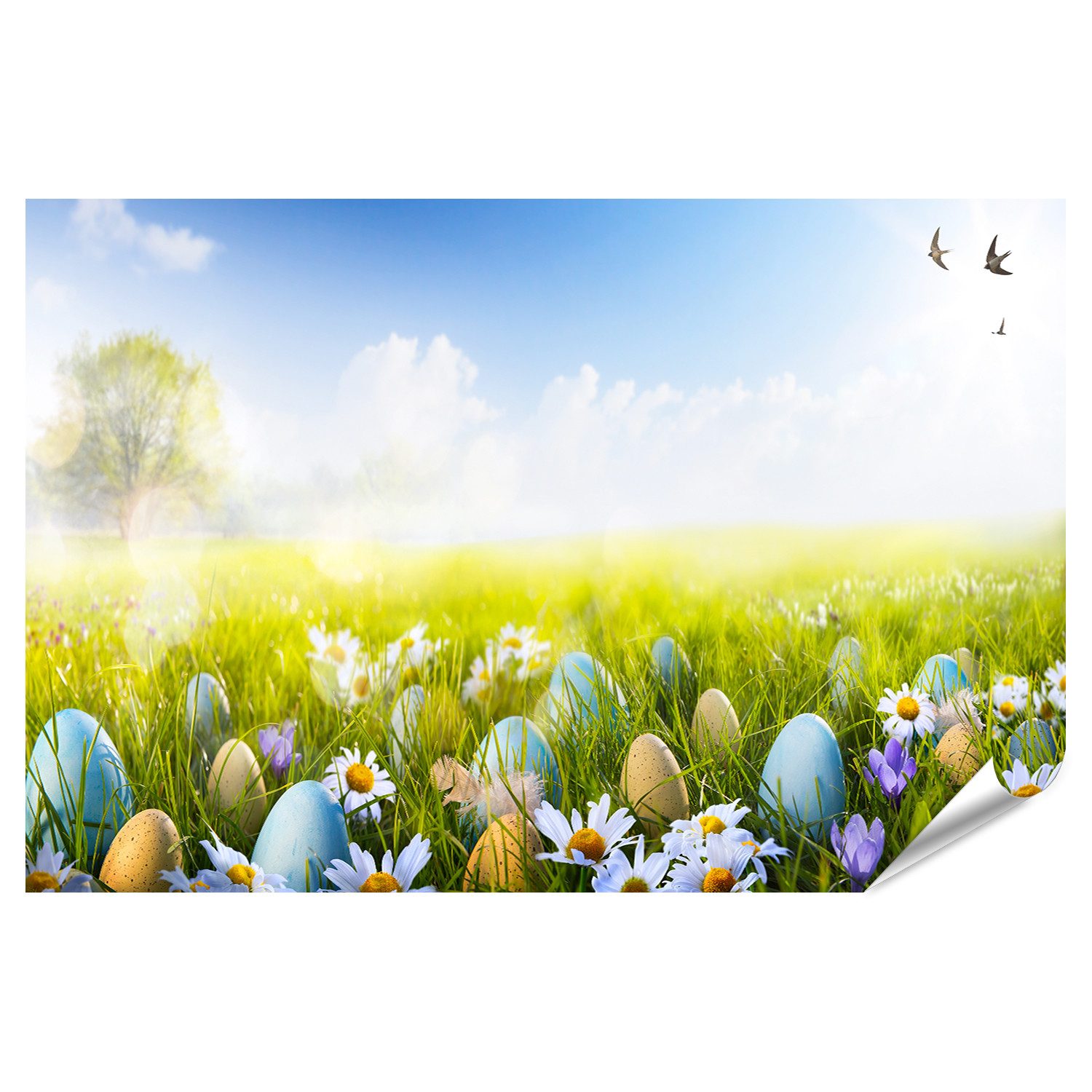 islandburner Poster Kunst Bunte Ostereier mit Blumen geschmückt im Gras Bilder