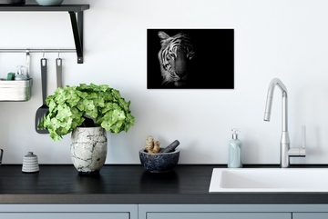 MuchoWow Poster Tiger - Tiere - Wild - Schwarz - Weiß, (1 St), Gerahmtes Poster, Wanddeko, Bilder, Wandposter, Schwarzem Bilderrahmen