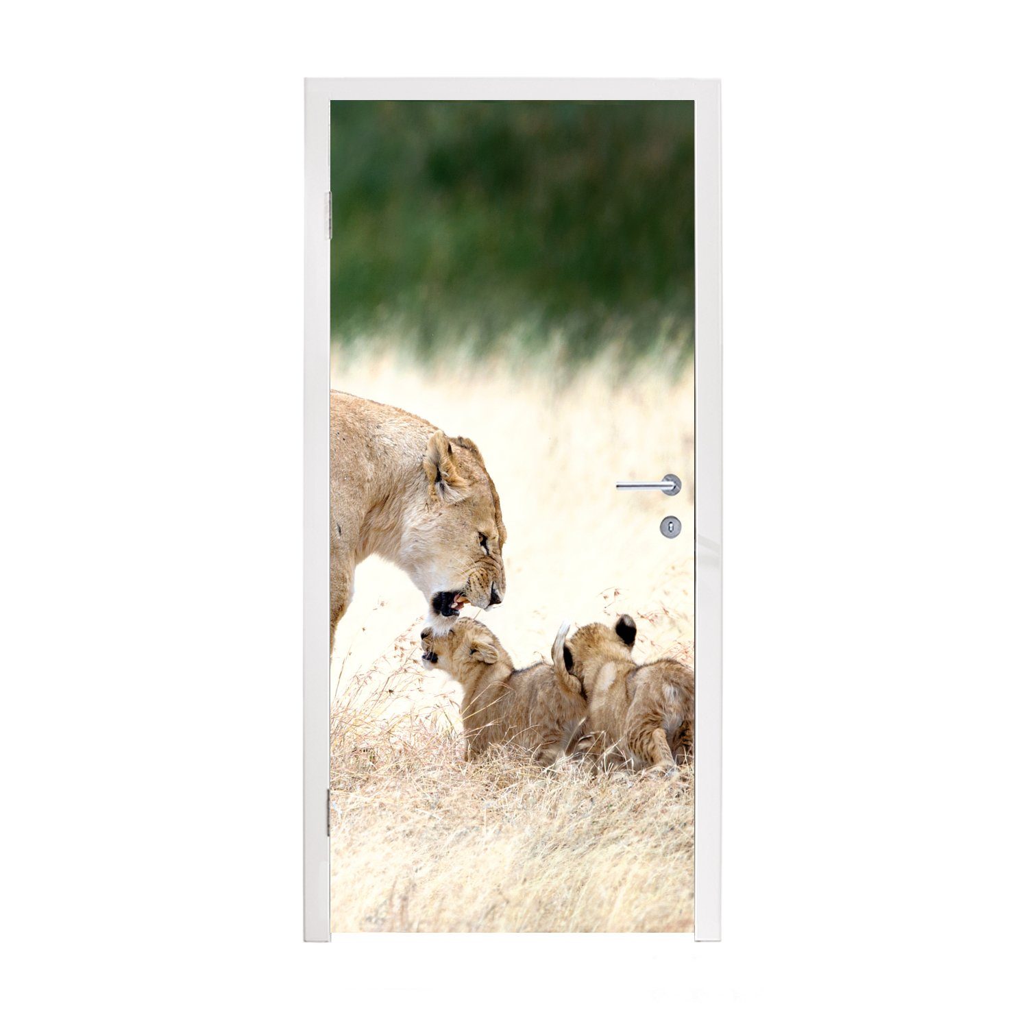 MuchoWow Türtapete Löwe - Gras - Junge - Familie, Matt, bedruckt, (1 St), Fototapete für Tür, Türaufkleber, 75x205 cm
