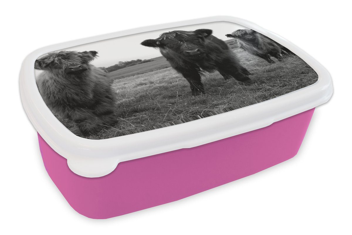 MuchoWow Lunchbox Schottische für Kunststoff, Snackbox, Natur Kinder, - - - Gras, Kunststoff Mädchen, rosa Grün Kühe Highlander Brotbox - Erwachsene, Brotdose (2-tlg)