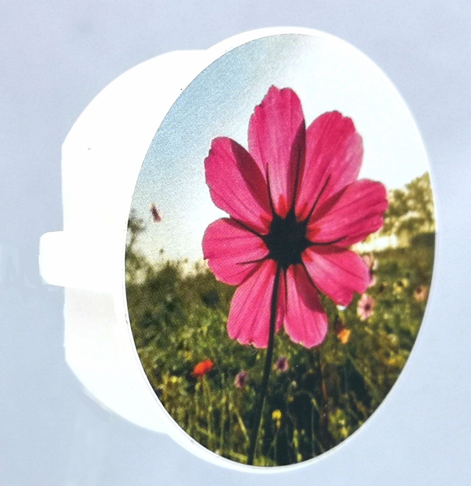 STECKEL Wanddekoobjekt 9 Stück DEKO-STECKEL® - DS-9777 Küche+Blumen - Steckdosen Abdeckung (Spar-Set, 9 St., 9er-Set), Macht jede Steckdose bunt und schützt sie – Bild 5 von 5