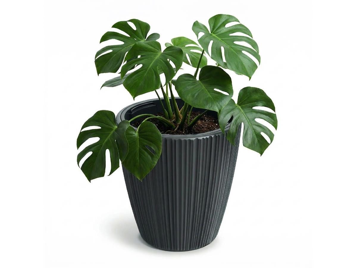 Prosperplast Blumentopf Oro, inkl. Pflanzeinsatz, 23,9 x 24 cm, dunkelgrau