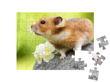 puzzleYOU Puzzle Niedlicher Hamster auf einem Stein, 48 Puzzleteile, puzzleYOU-Kollektionen Hamster, 100 Teile, Insekten & Kleintiere