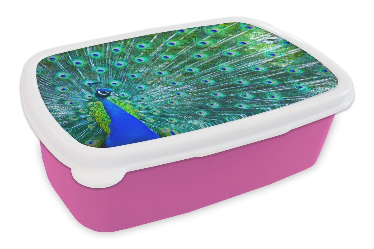 MuchoWow Lunchbox Pfau - Blau - Tiere, Kunststoff, (2-tlg), Brotbox für Erwachsene, Brotdose Kinder, Snackbox, Mädchen, Kunststoff rosa