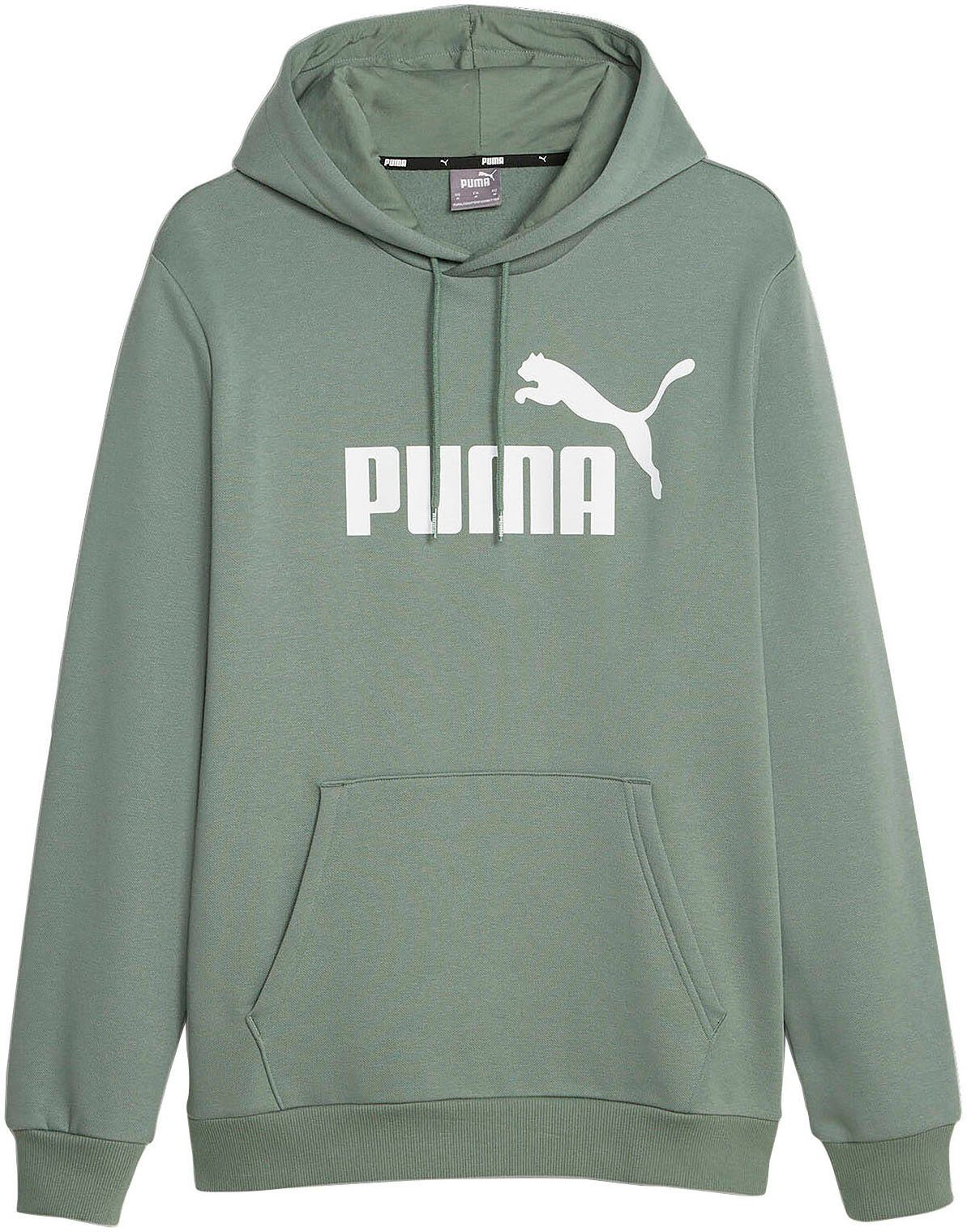 Kapuzensweatshirt HOODIE PUMA FL LOGO BIG Eucalyptus (S) ESS