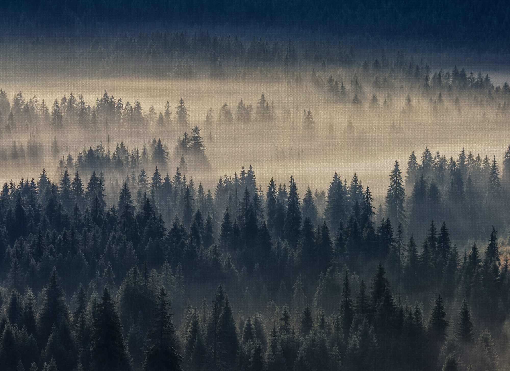 A.S. Création Vliestapete Fototapete Wald im Nebel Dunkelgrün Beige, strukturiert, matt, (1 St)